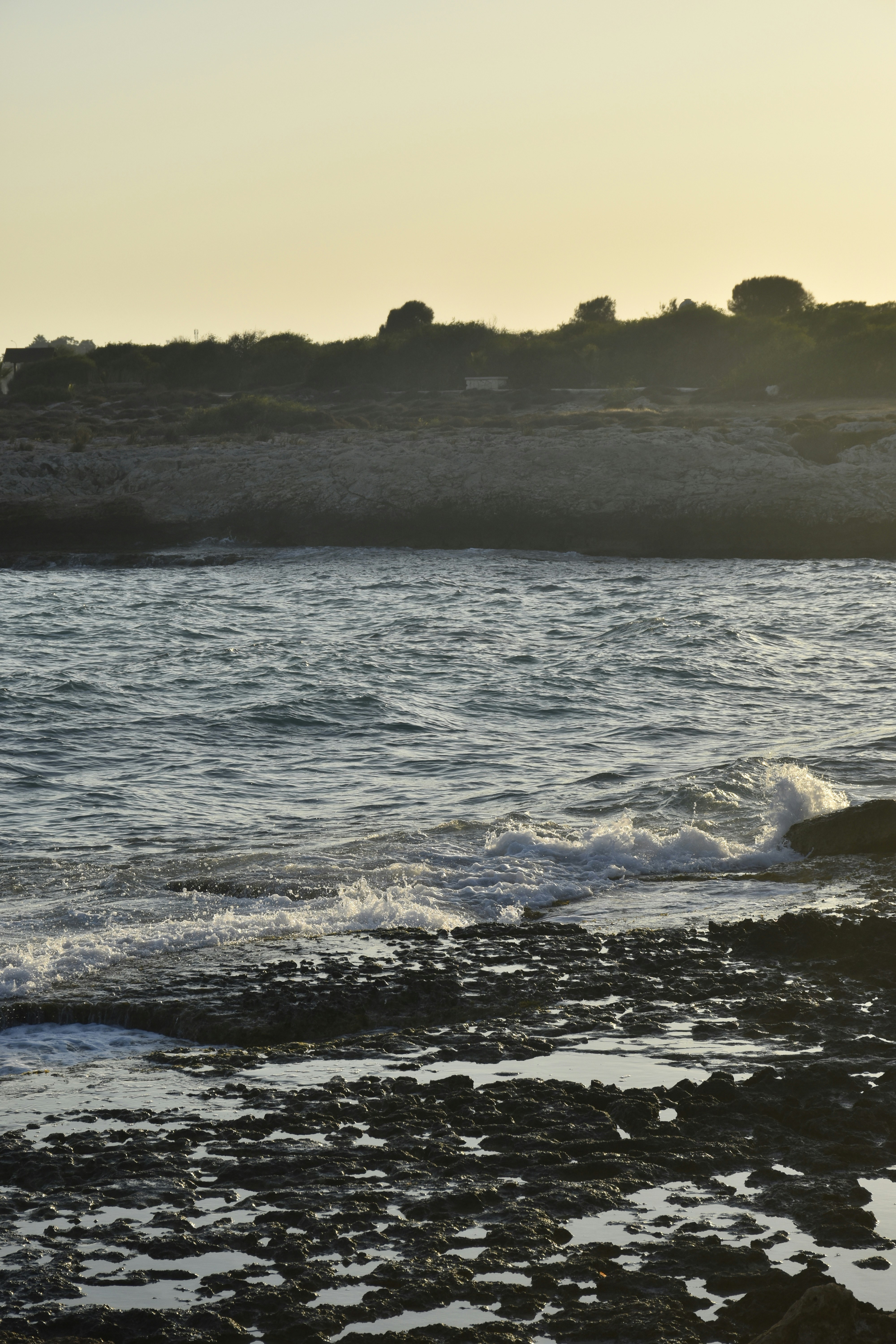 Photo by znphotogarphy