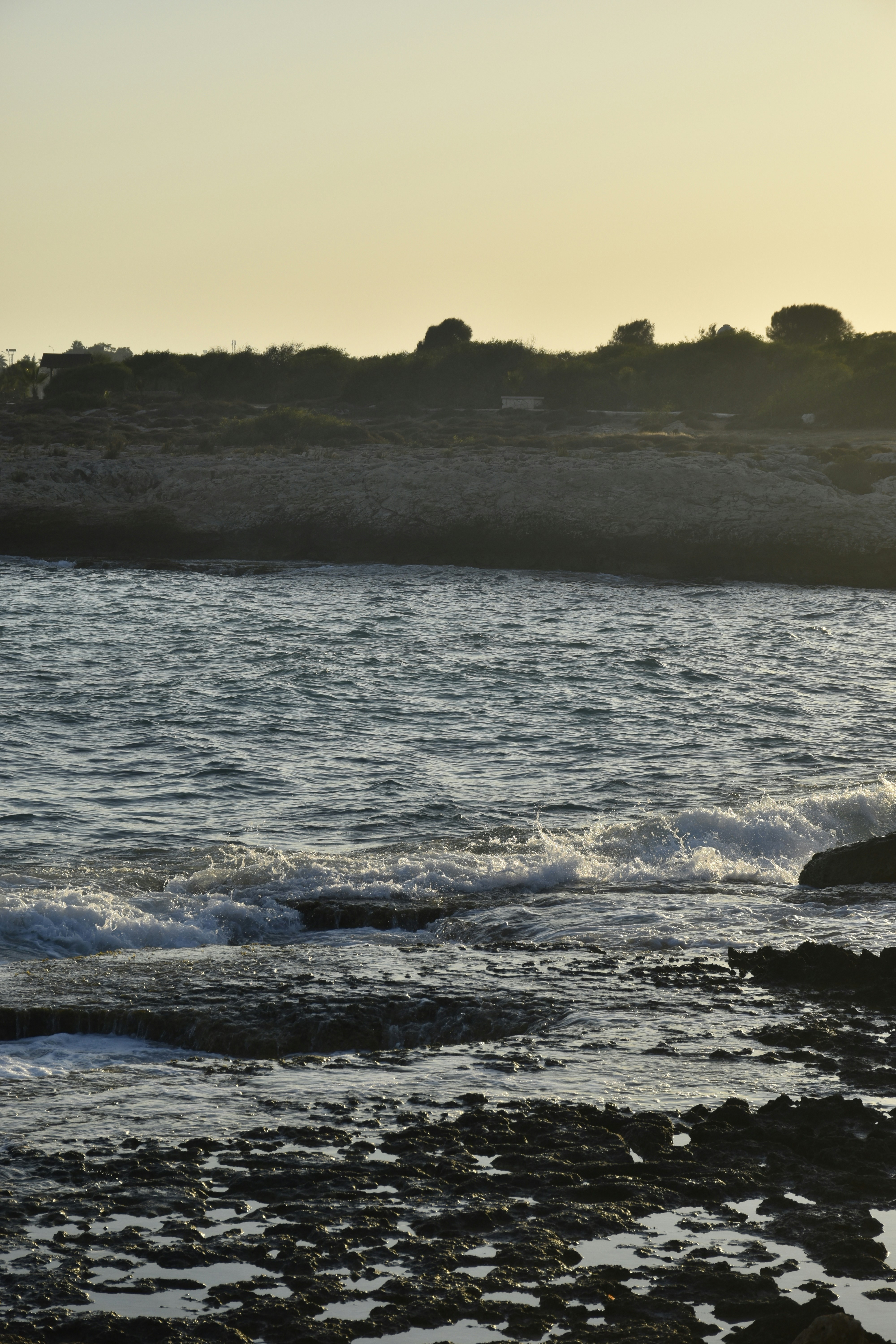 Photo by znphotogarphy