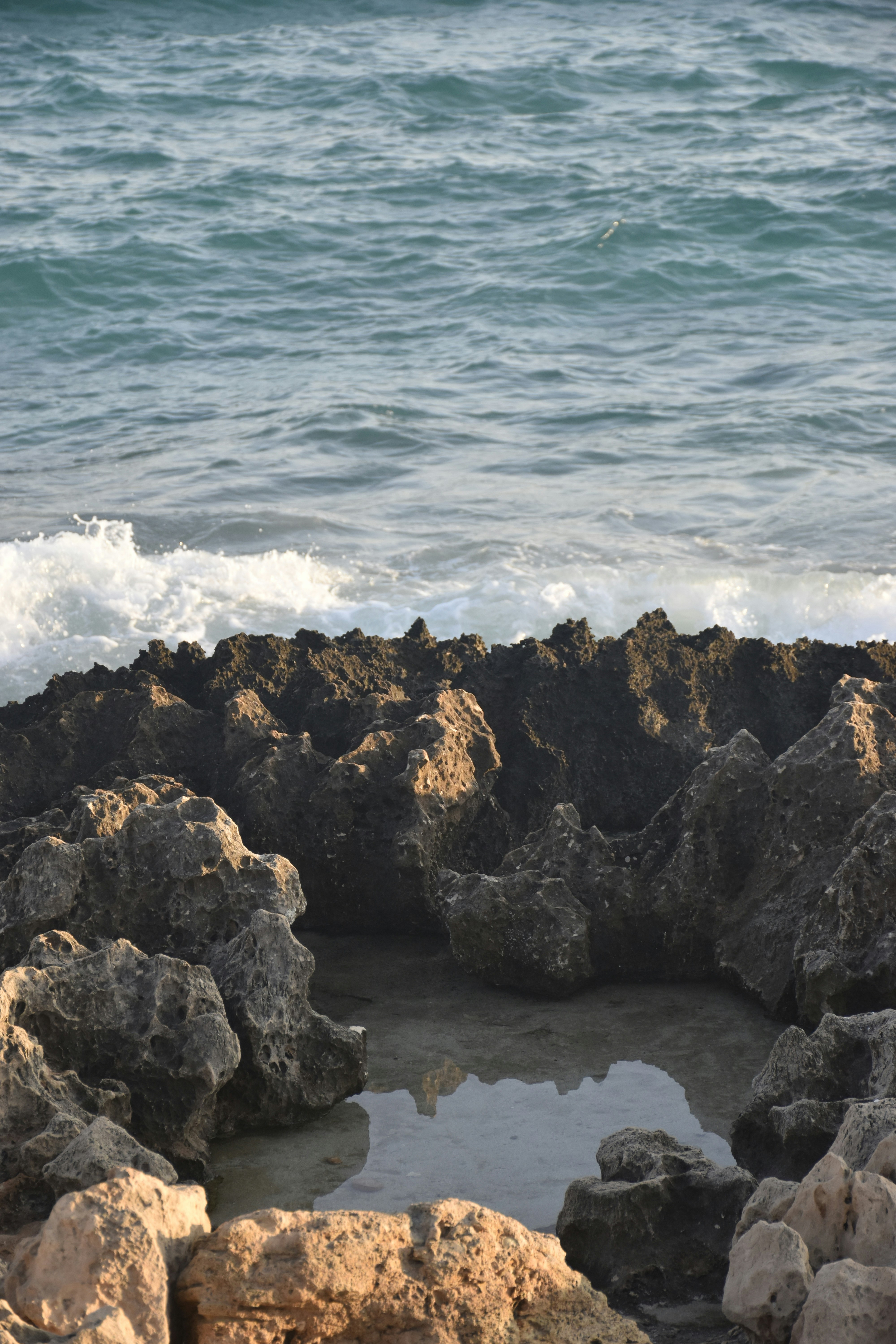 Photo by znphotogarphy