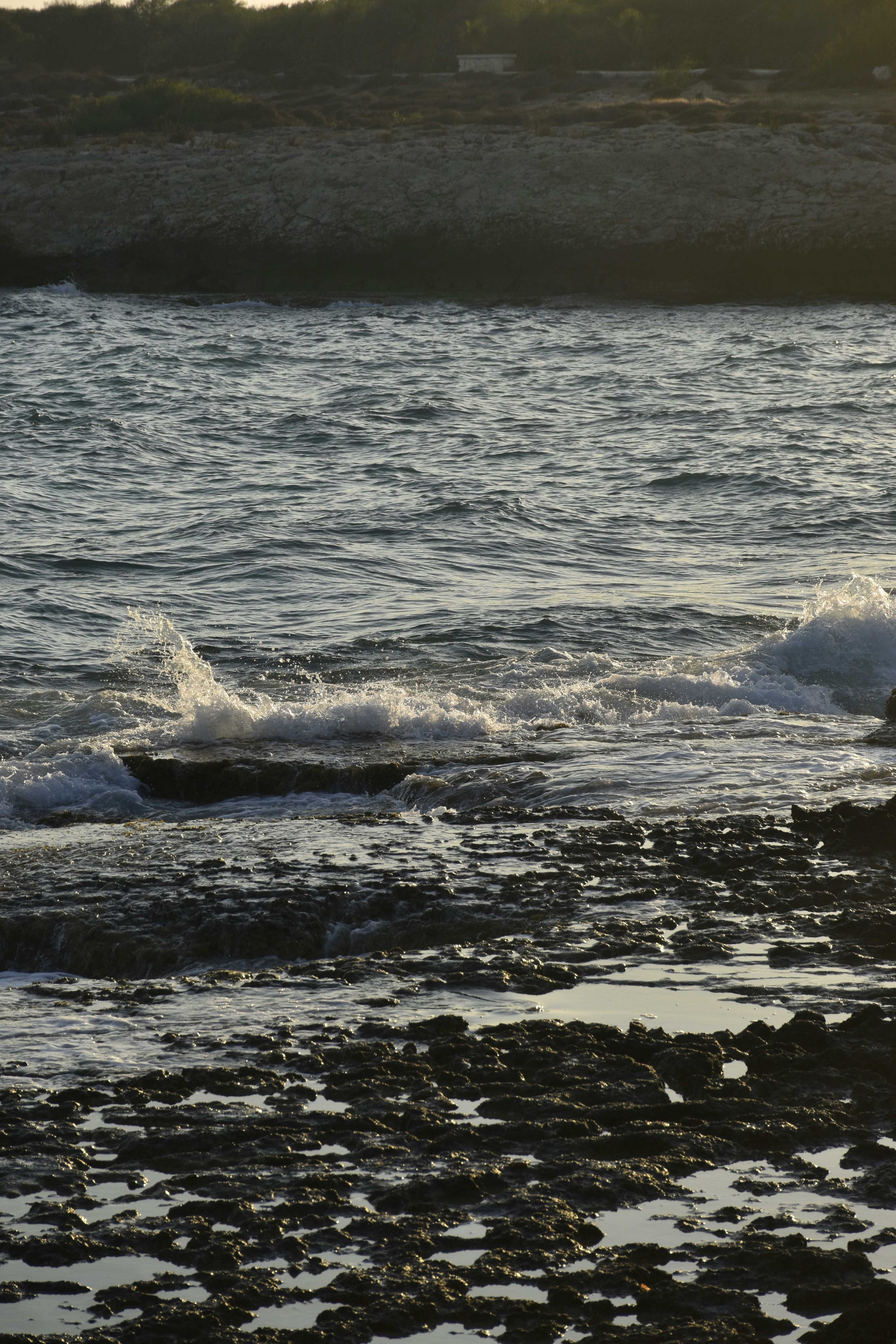 Photo by znphotogarphy