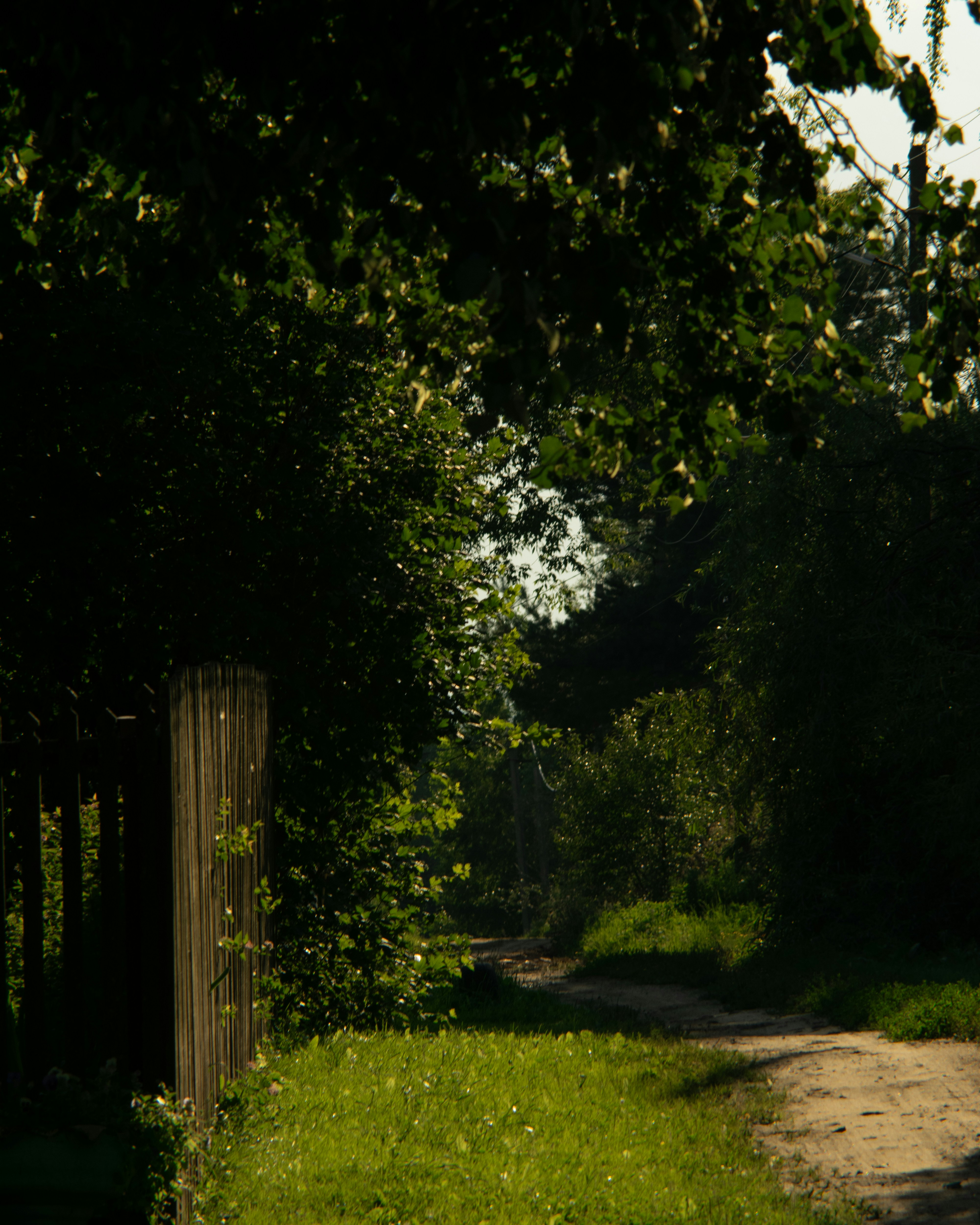 Photo by vovca17