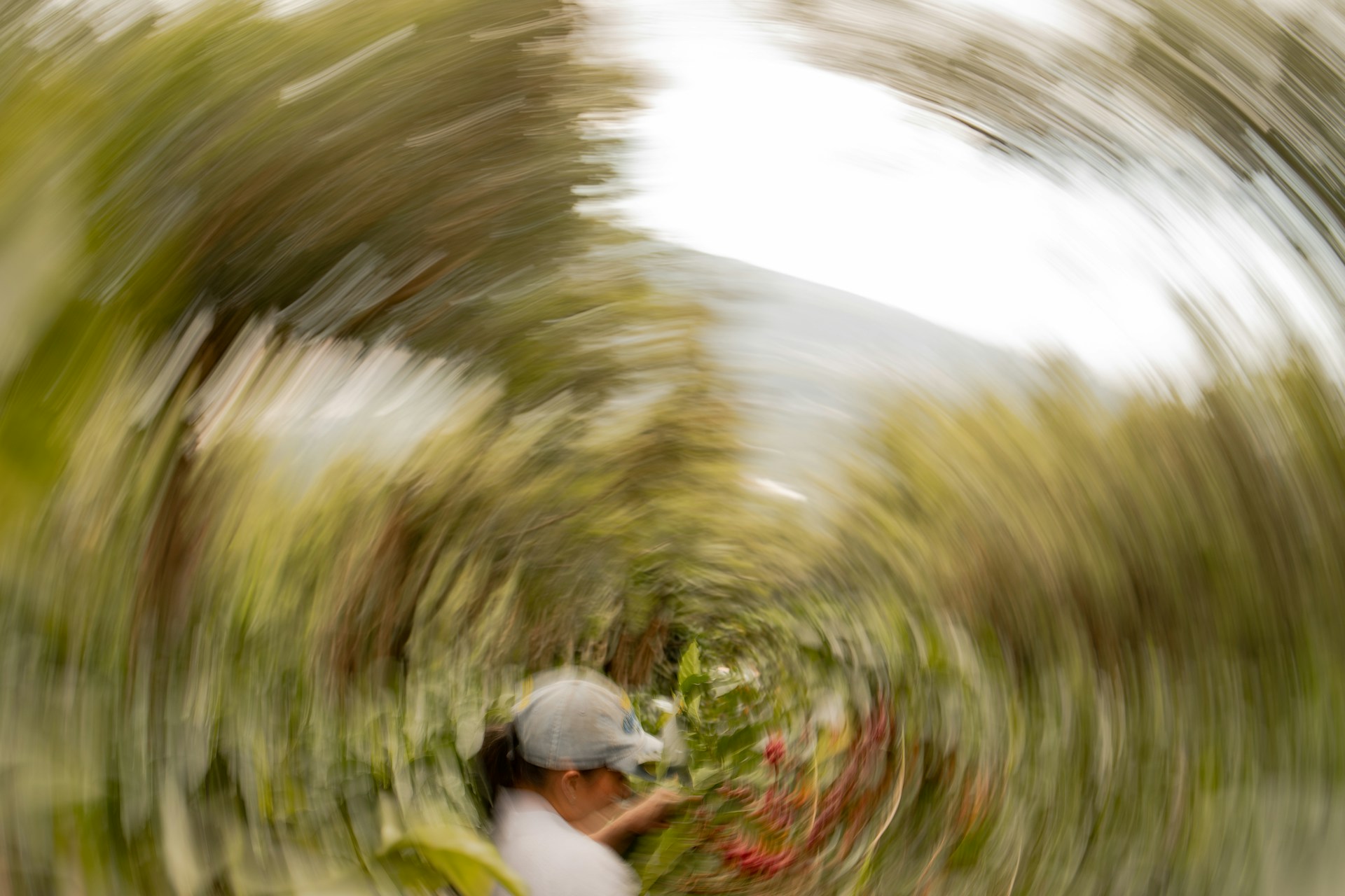 A blurry photo of a person in a white shirt