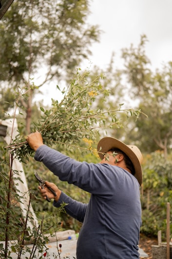 A man in a hat and glasses working in a garden