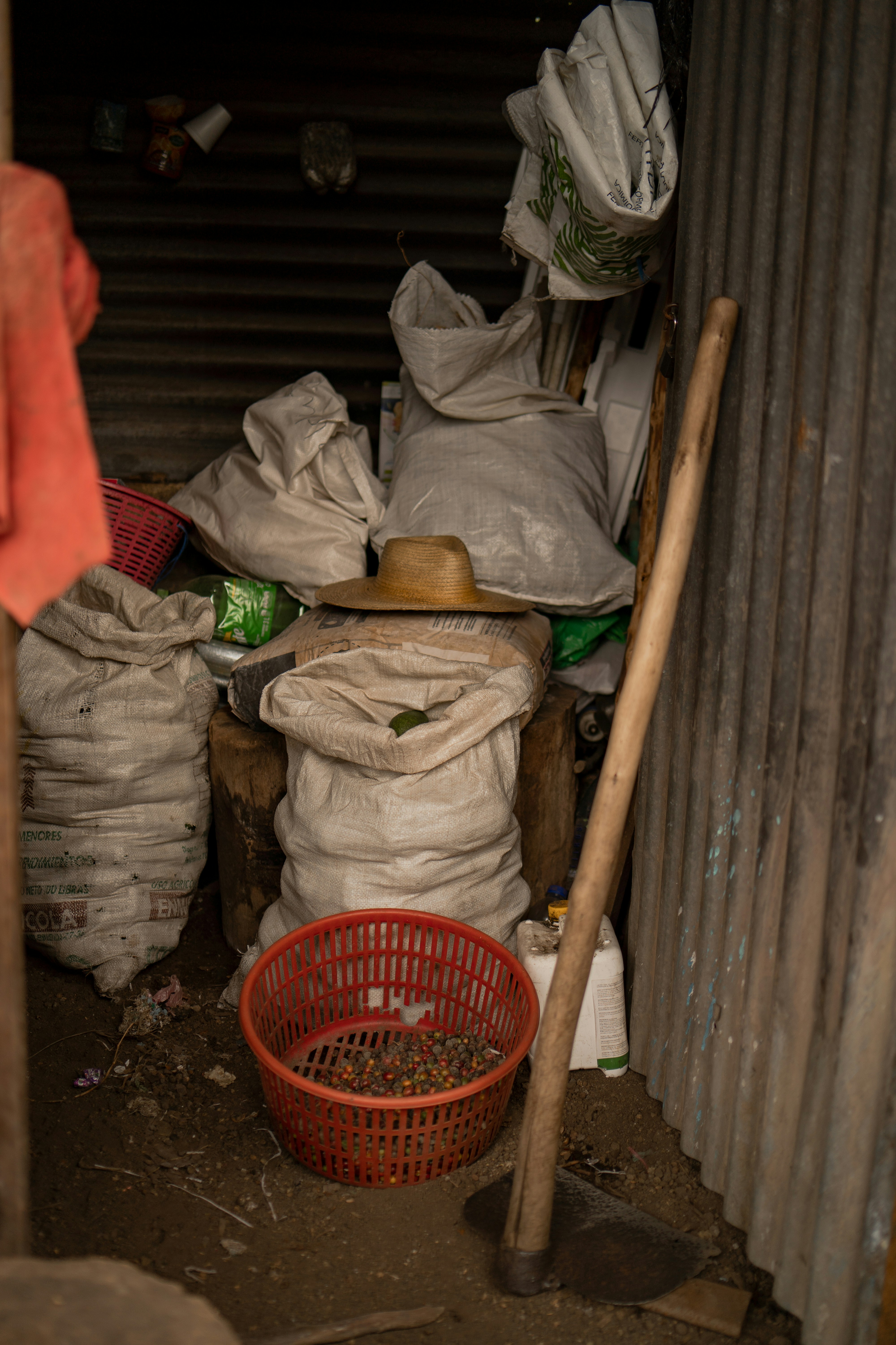 Photo by shelbyfigueroa