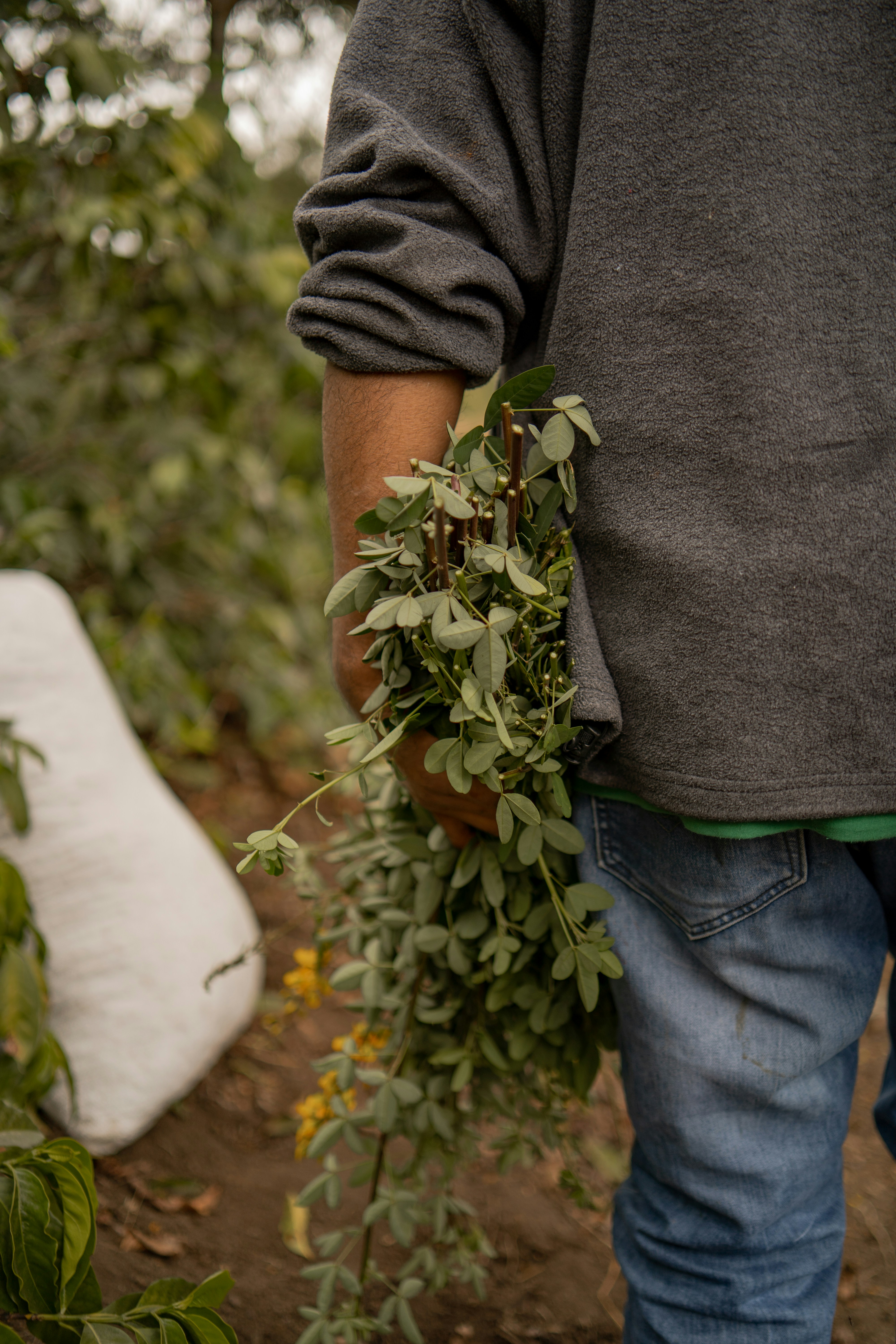 Photo by shelbyfigueroa