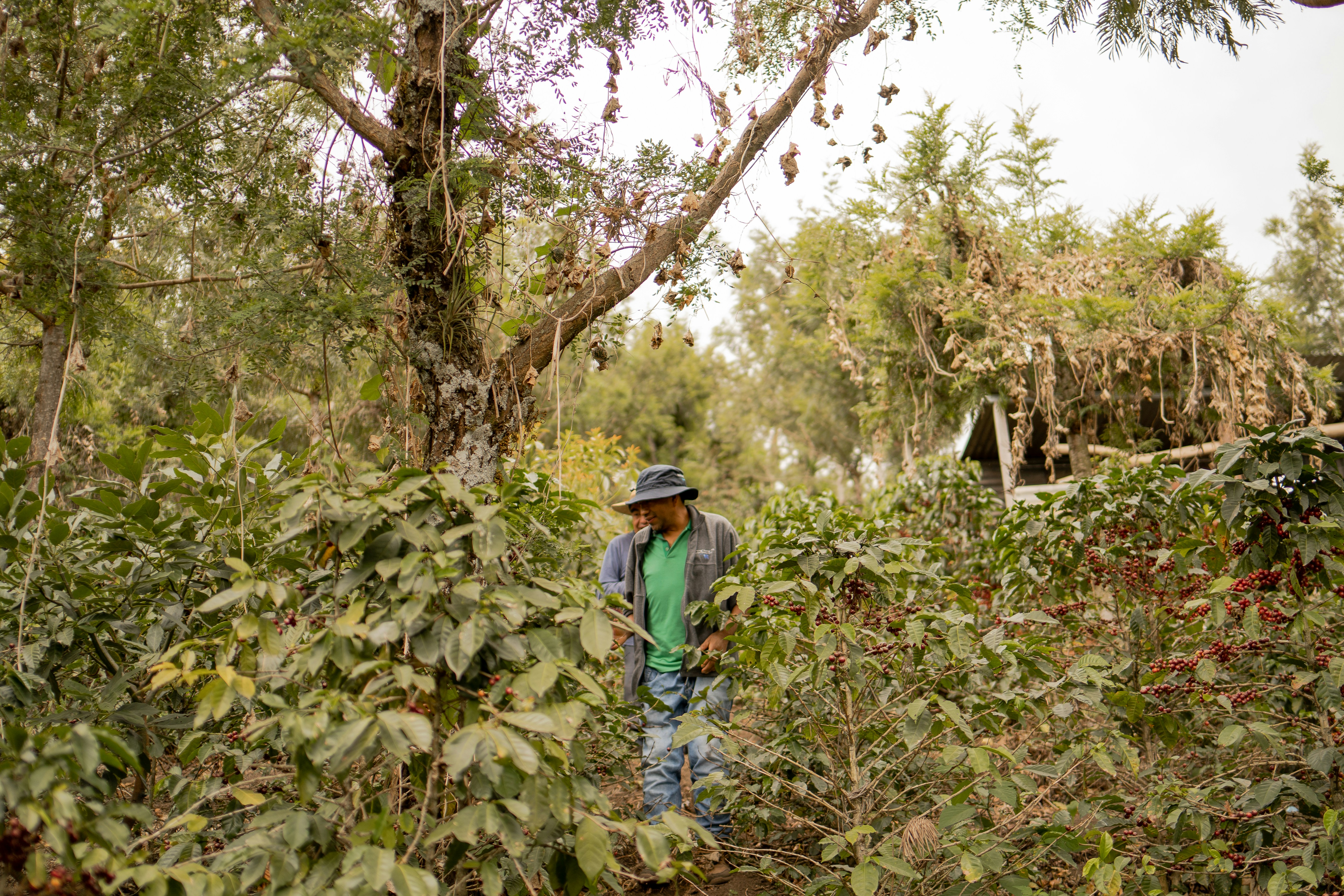 Photo by shelbyfigueroa