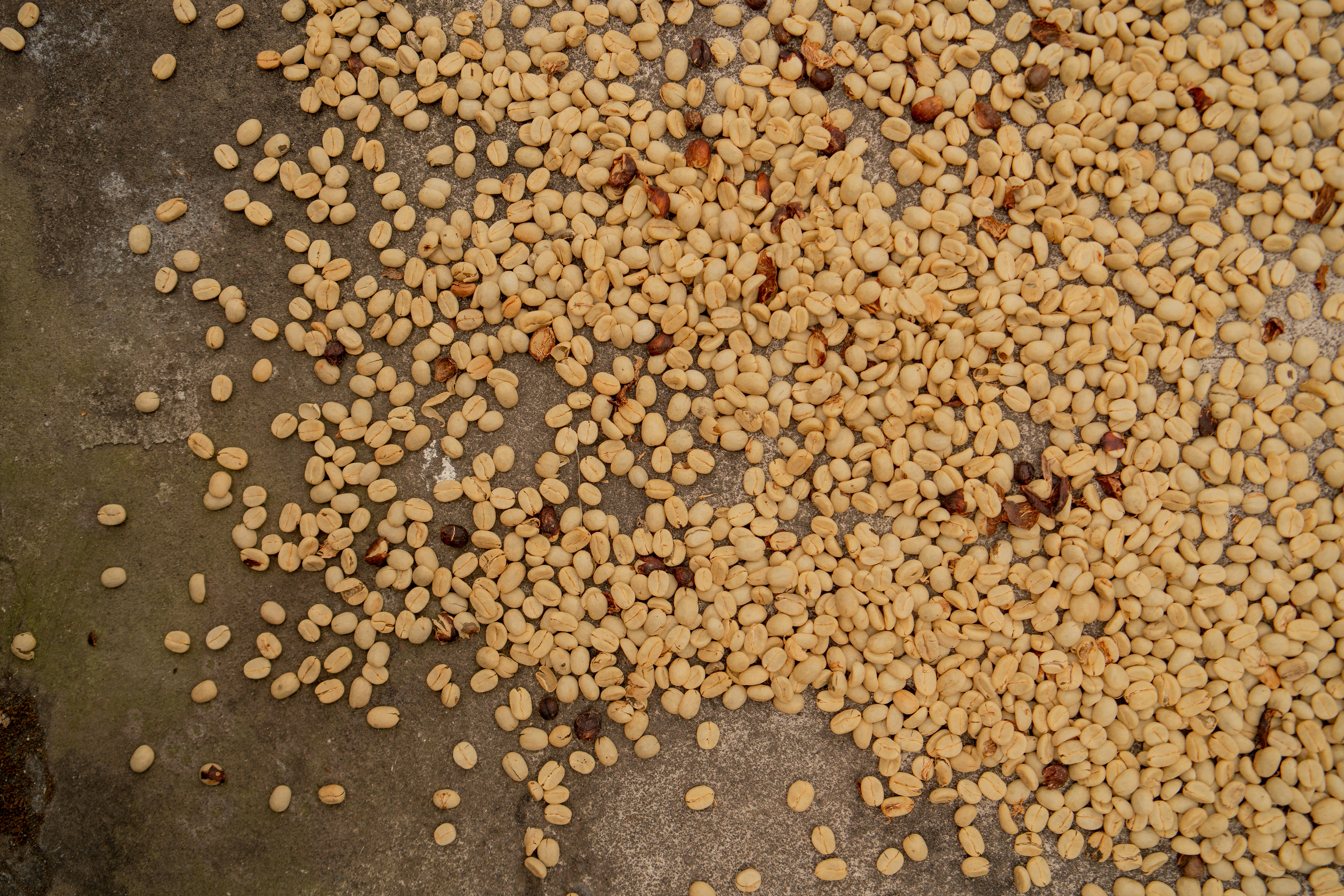 Photo by shelbyfigueroa