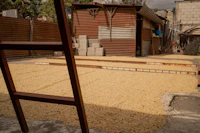Best Specialty Coffee Roasters in Muzaffarpur for Serious Coffee Drinkers