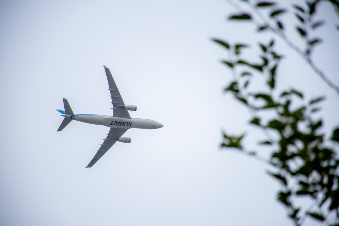An airplane is flying in the sky above some trees,