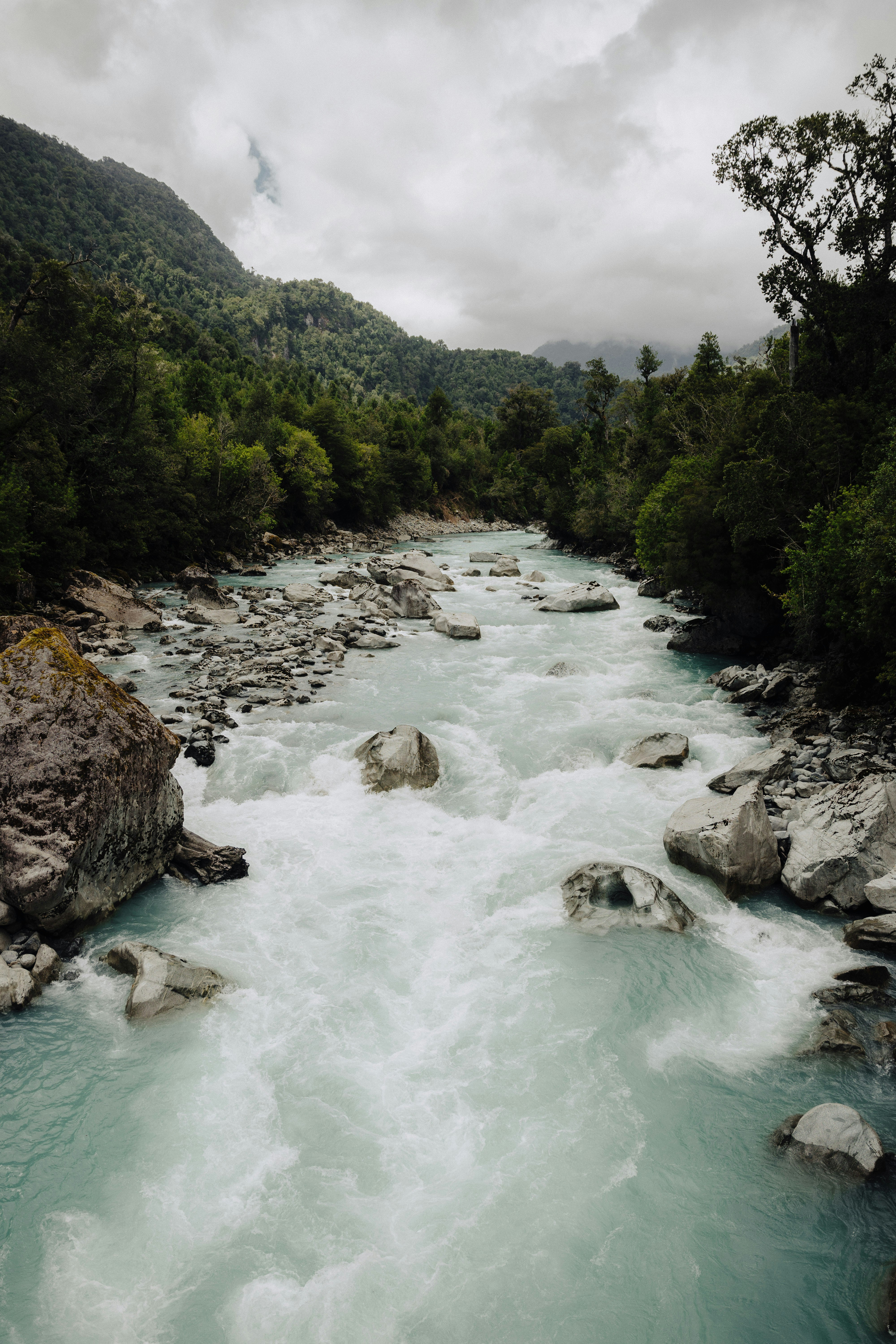 Photo by josefigueroa_mov