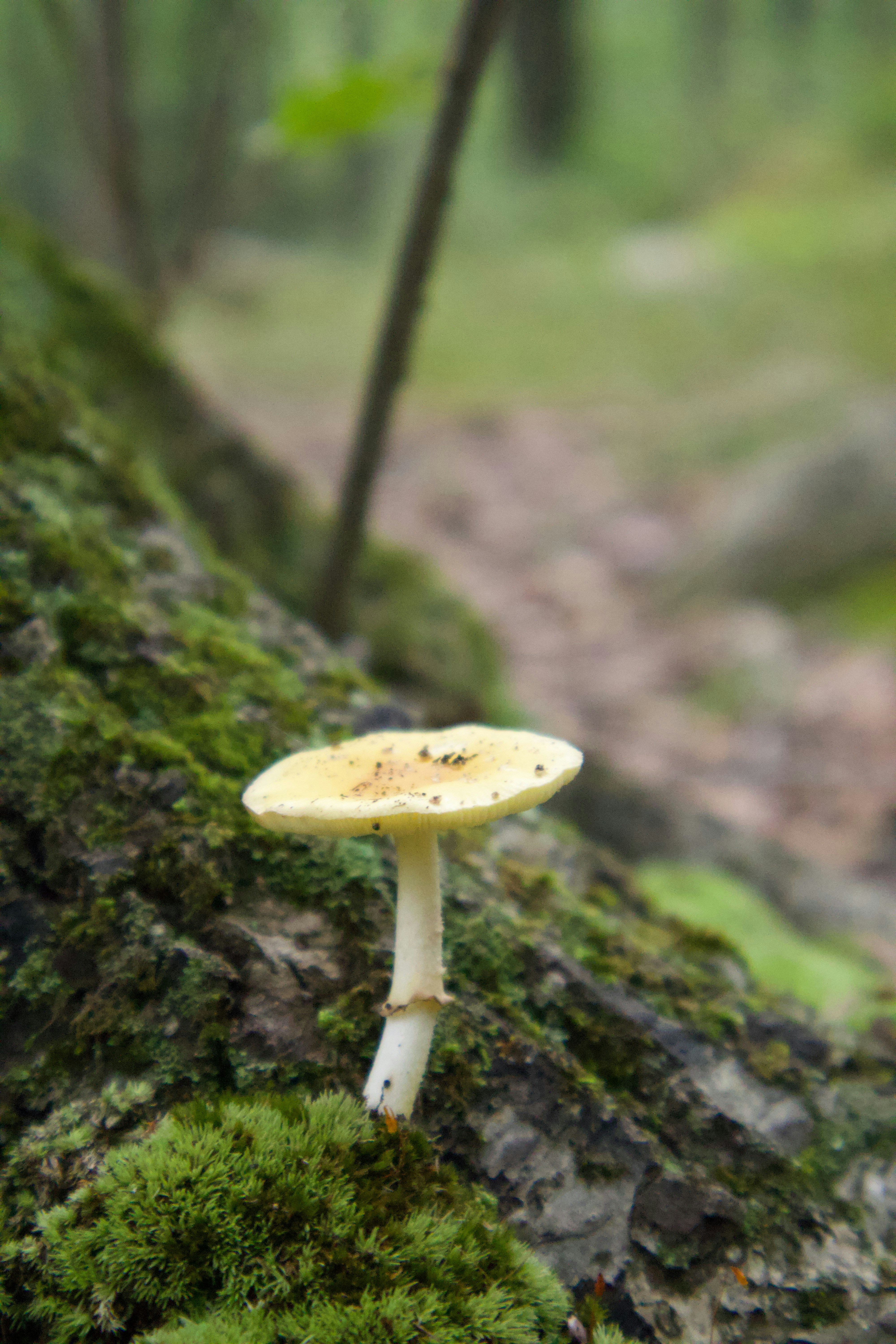 Photo by belanasaikiran