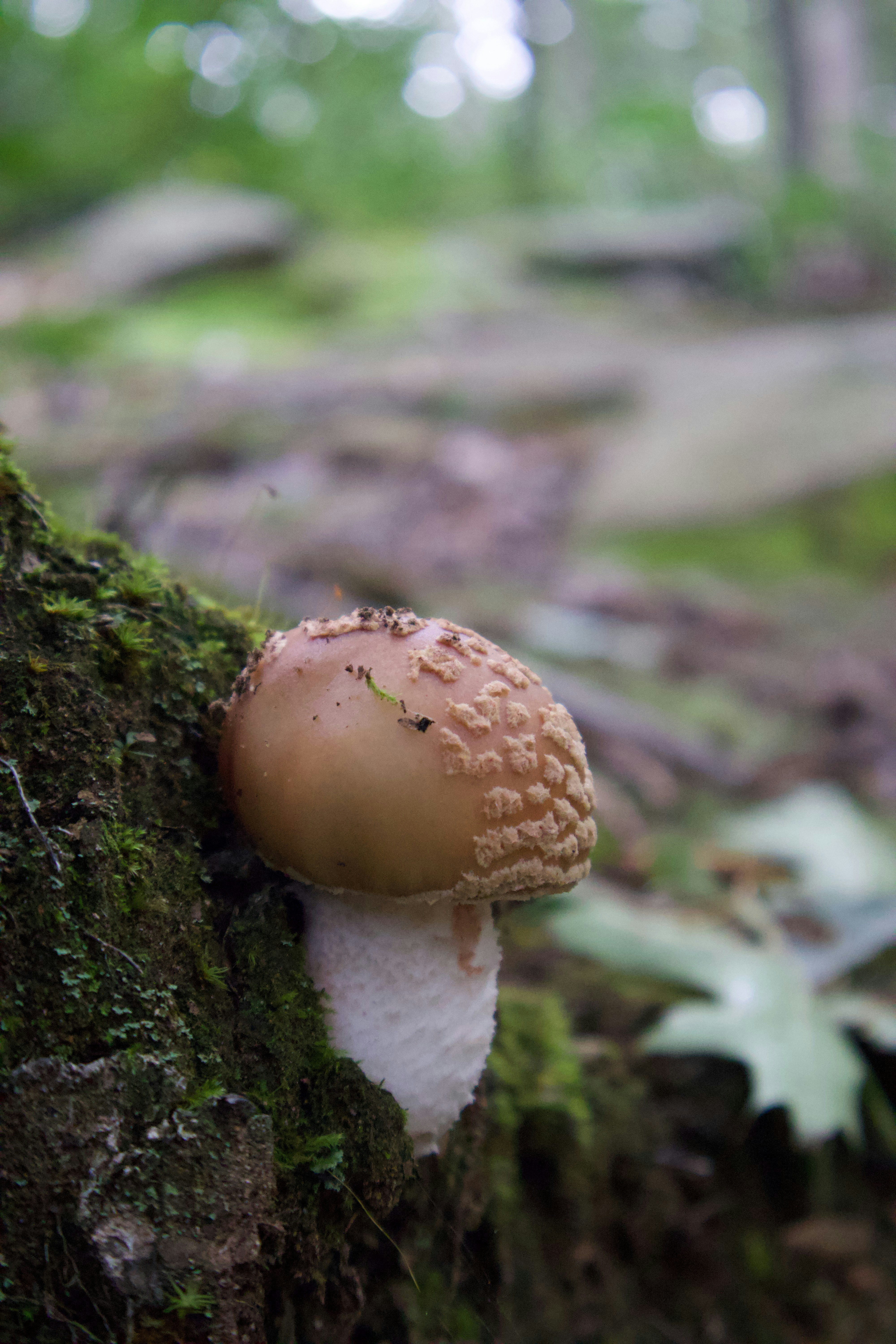 Photo by belanasaikiran