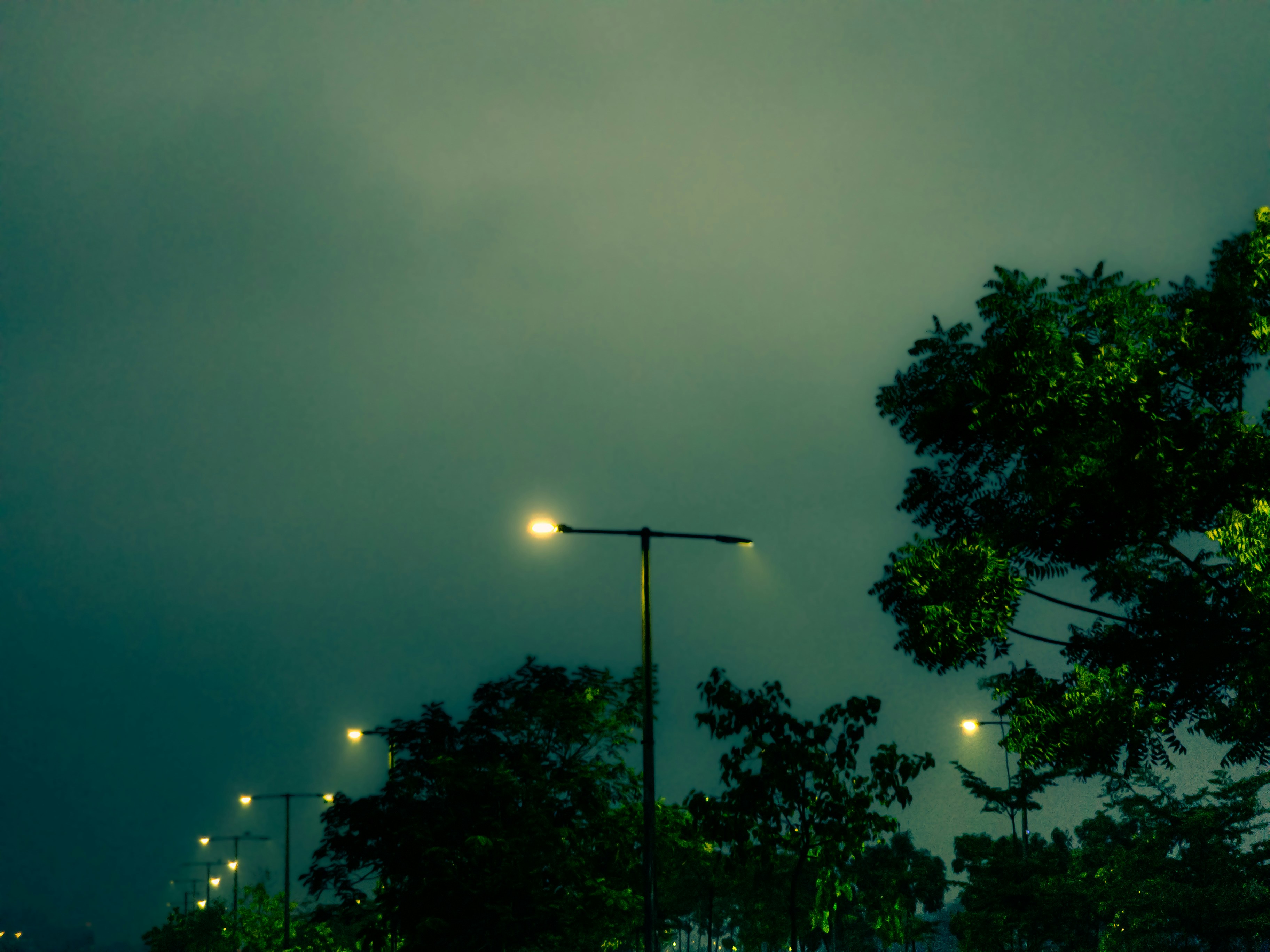 Photo by karan_suthar_