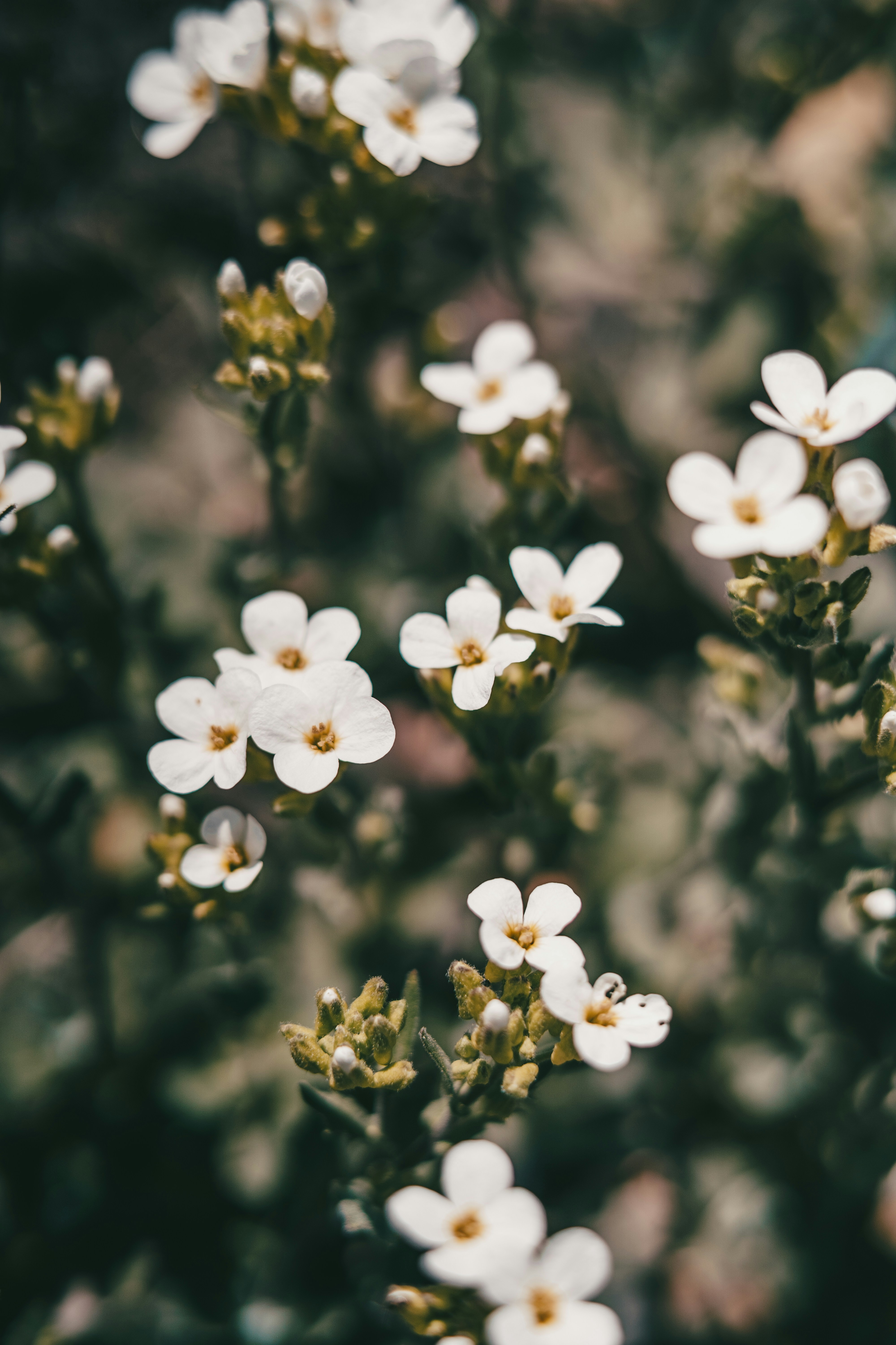 Photo by anamnesis33