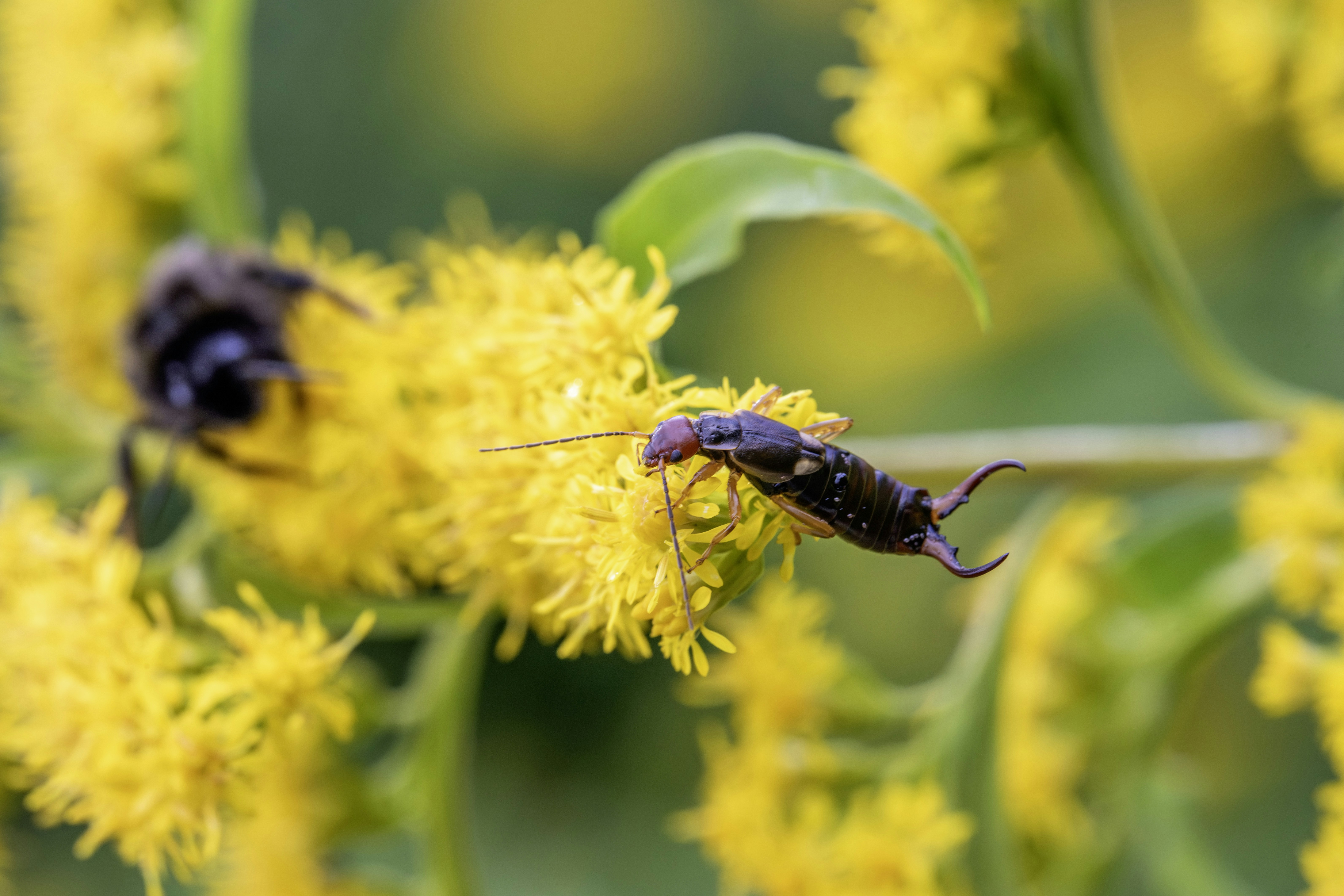 Photo by erik_karits