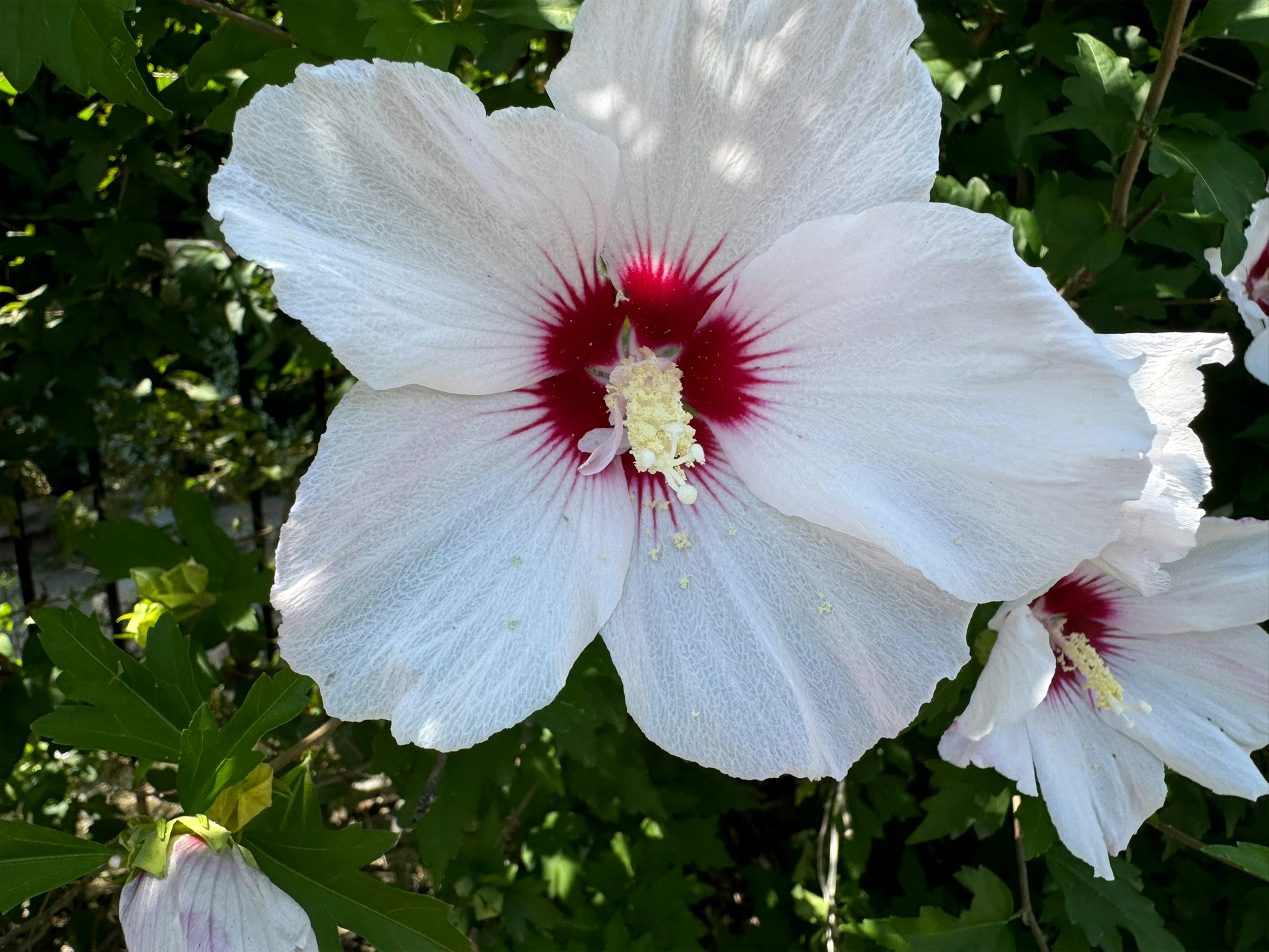 Photo by productivitygarden