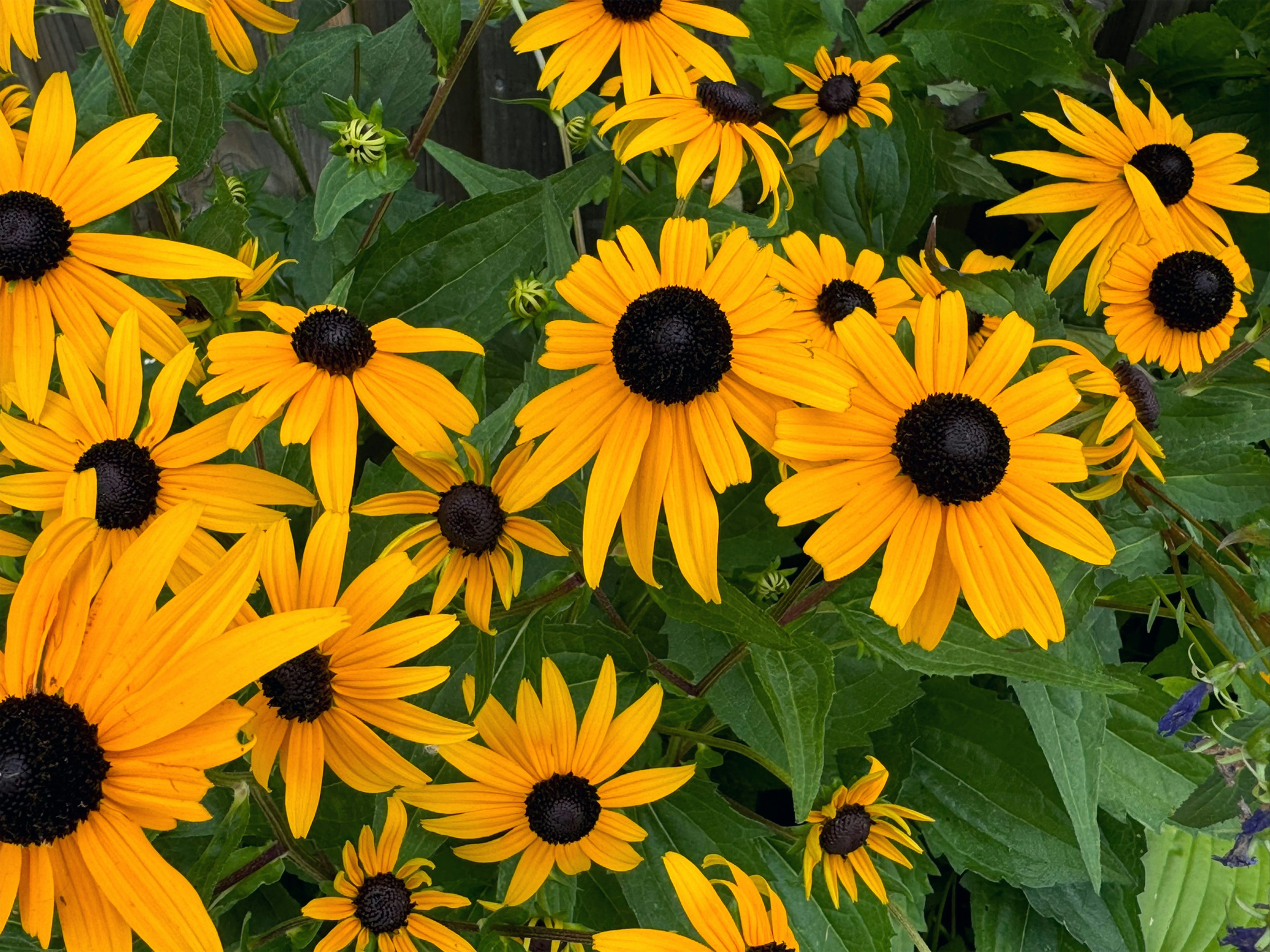 Photo by productivitygarden