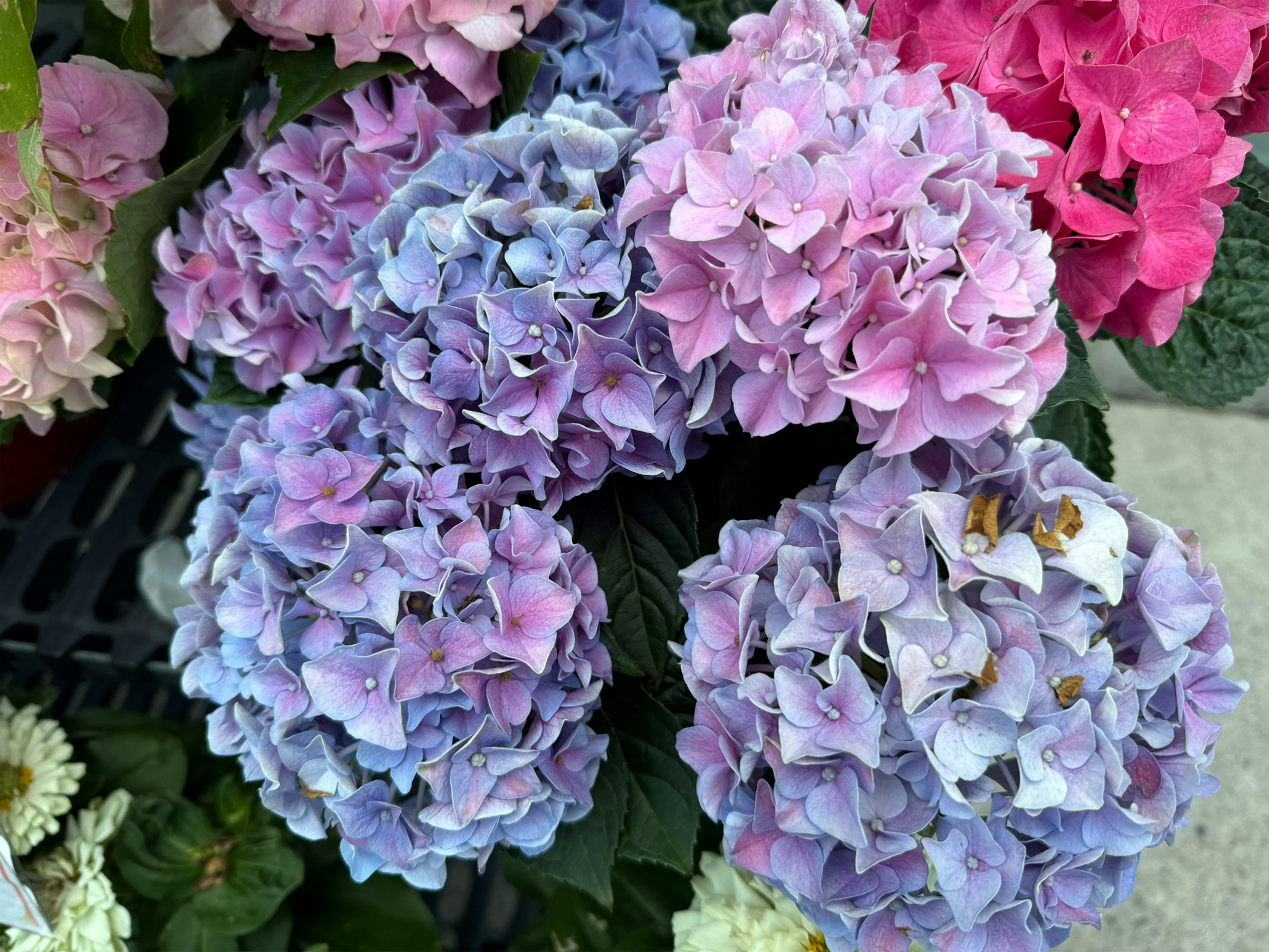 Photo by productivitygarden