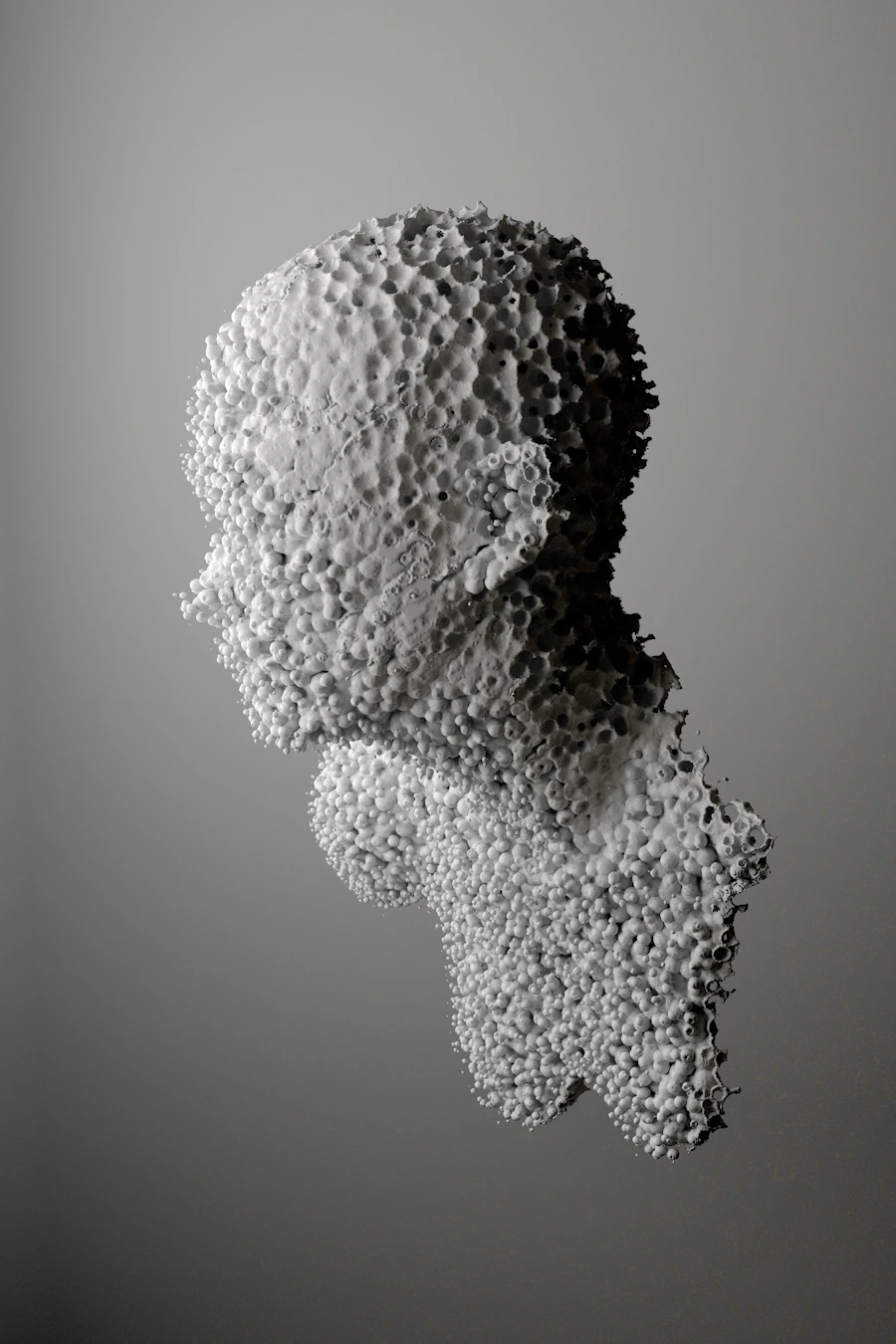 Sculpted porous white head in profile