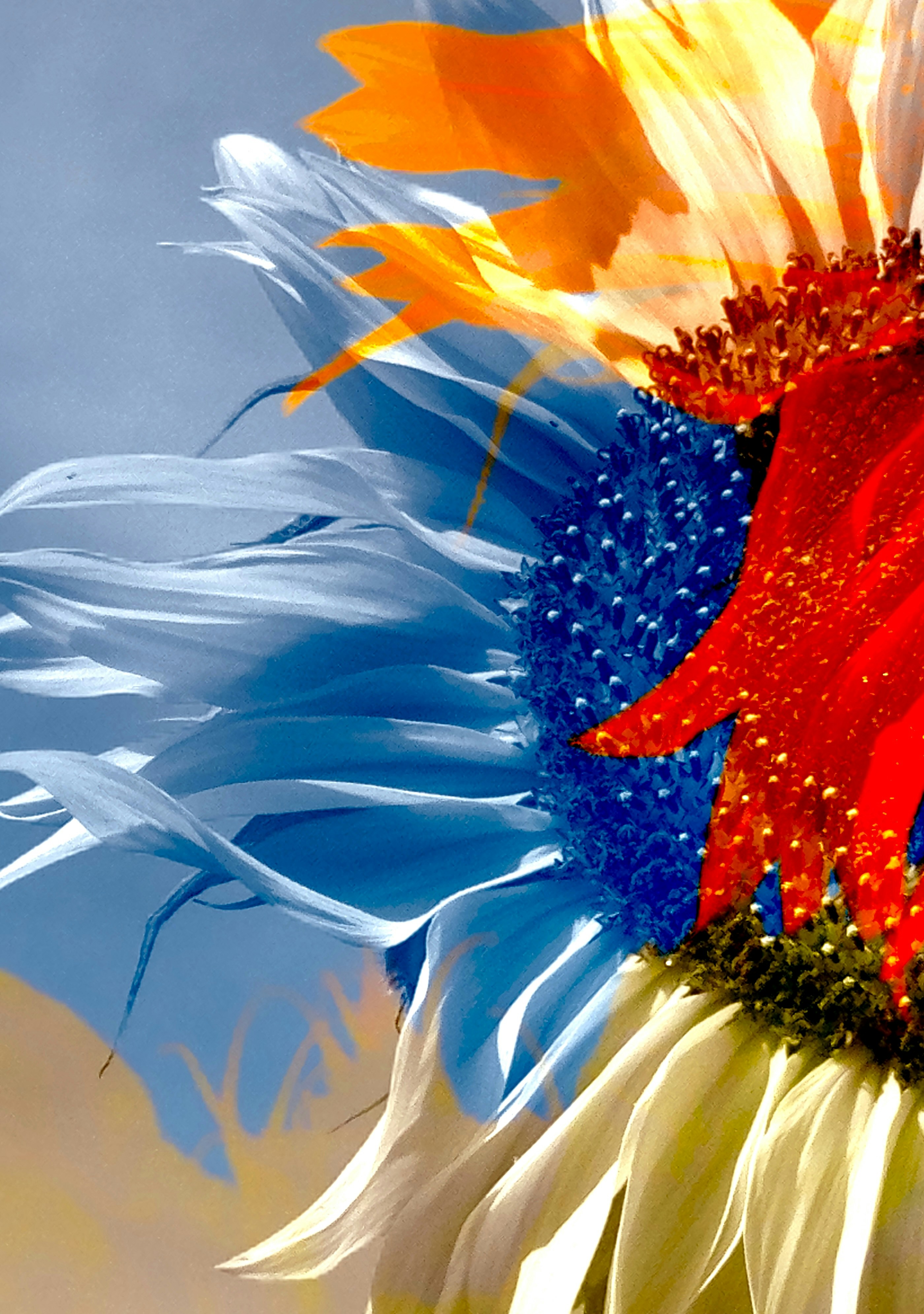 Photo by david_underland