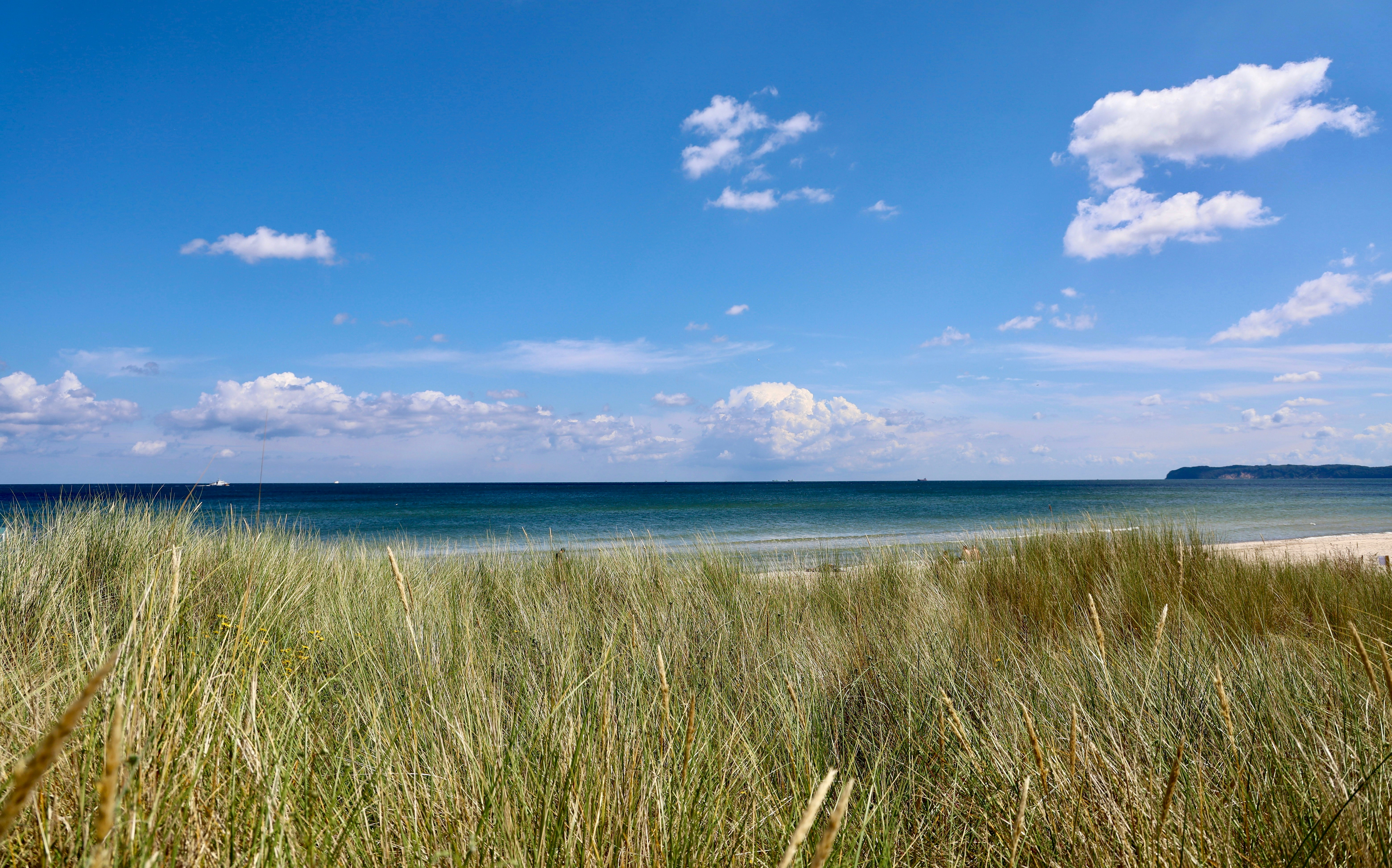 Photo by maximilian_brand