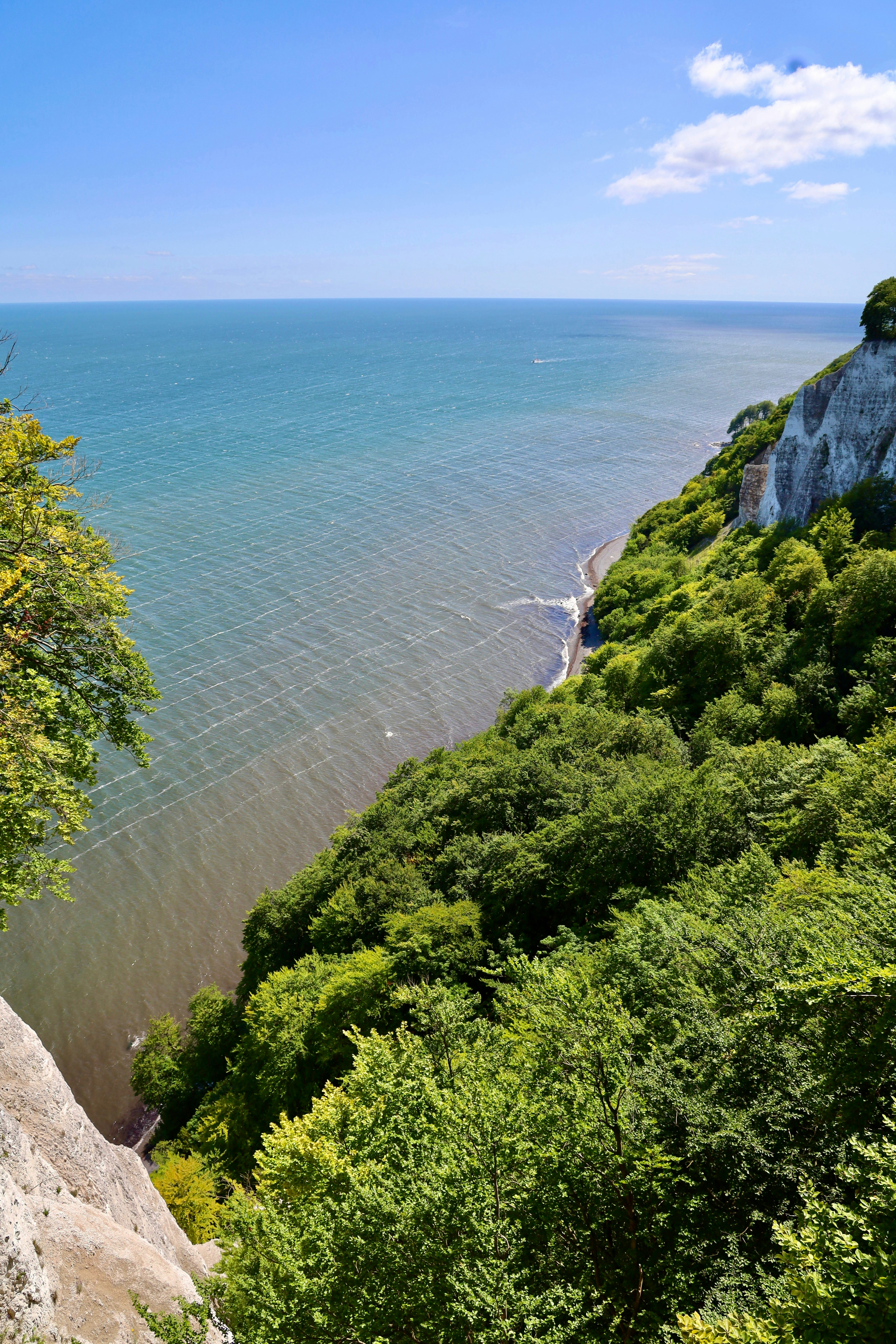 Photo by maximilian_brand