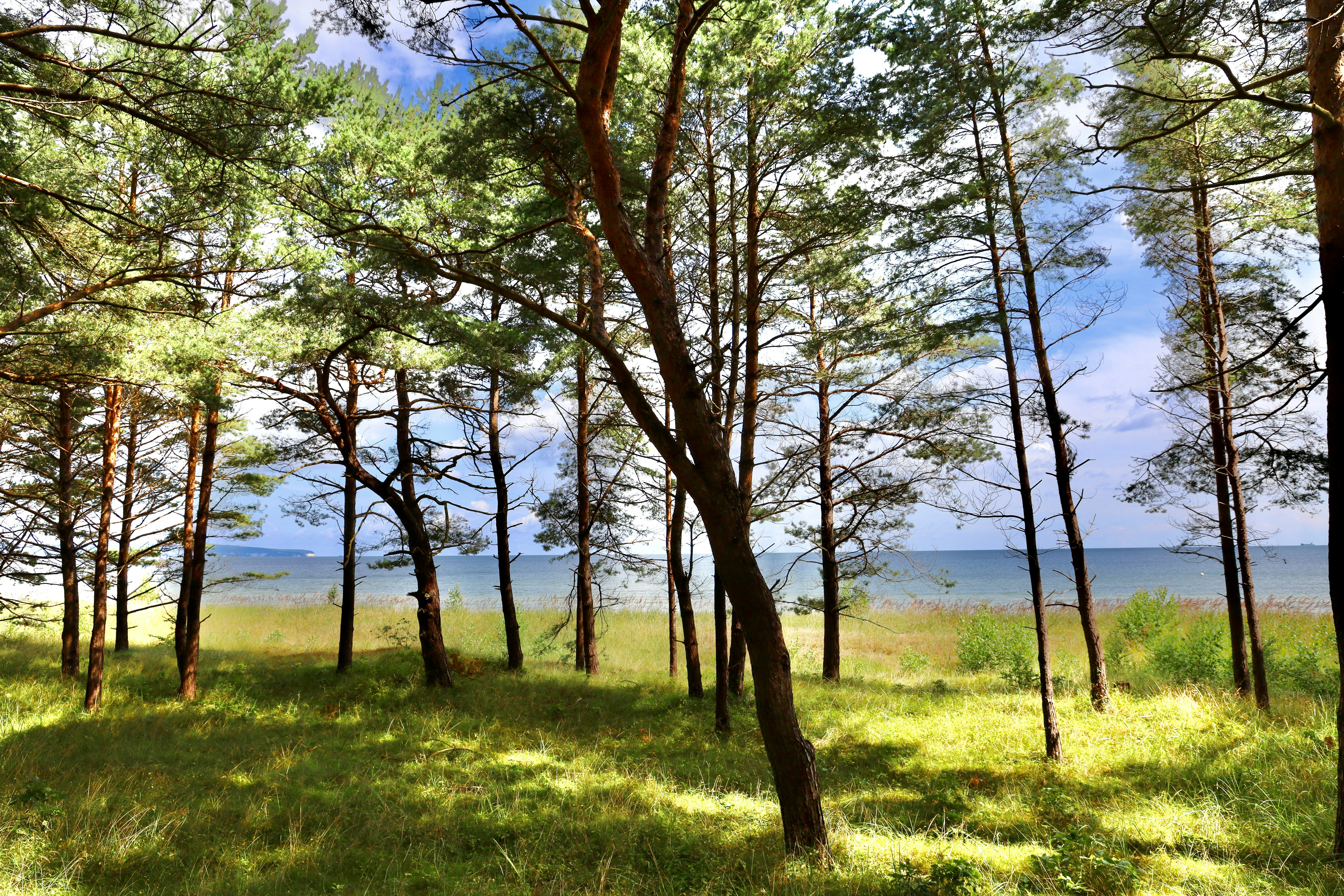 Photo by maximilian_brand