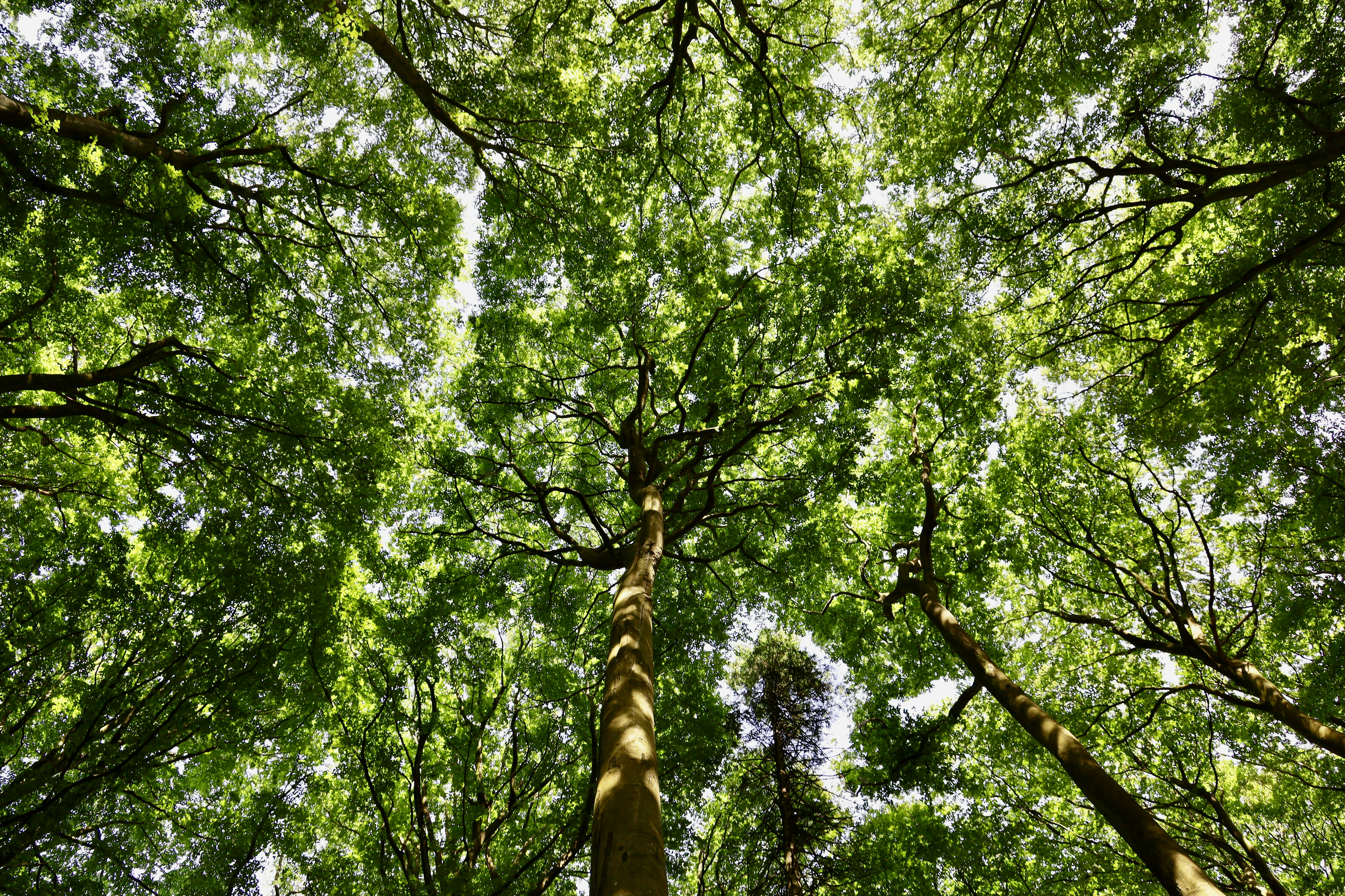 Photo by maximilian_brand