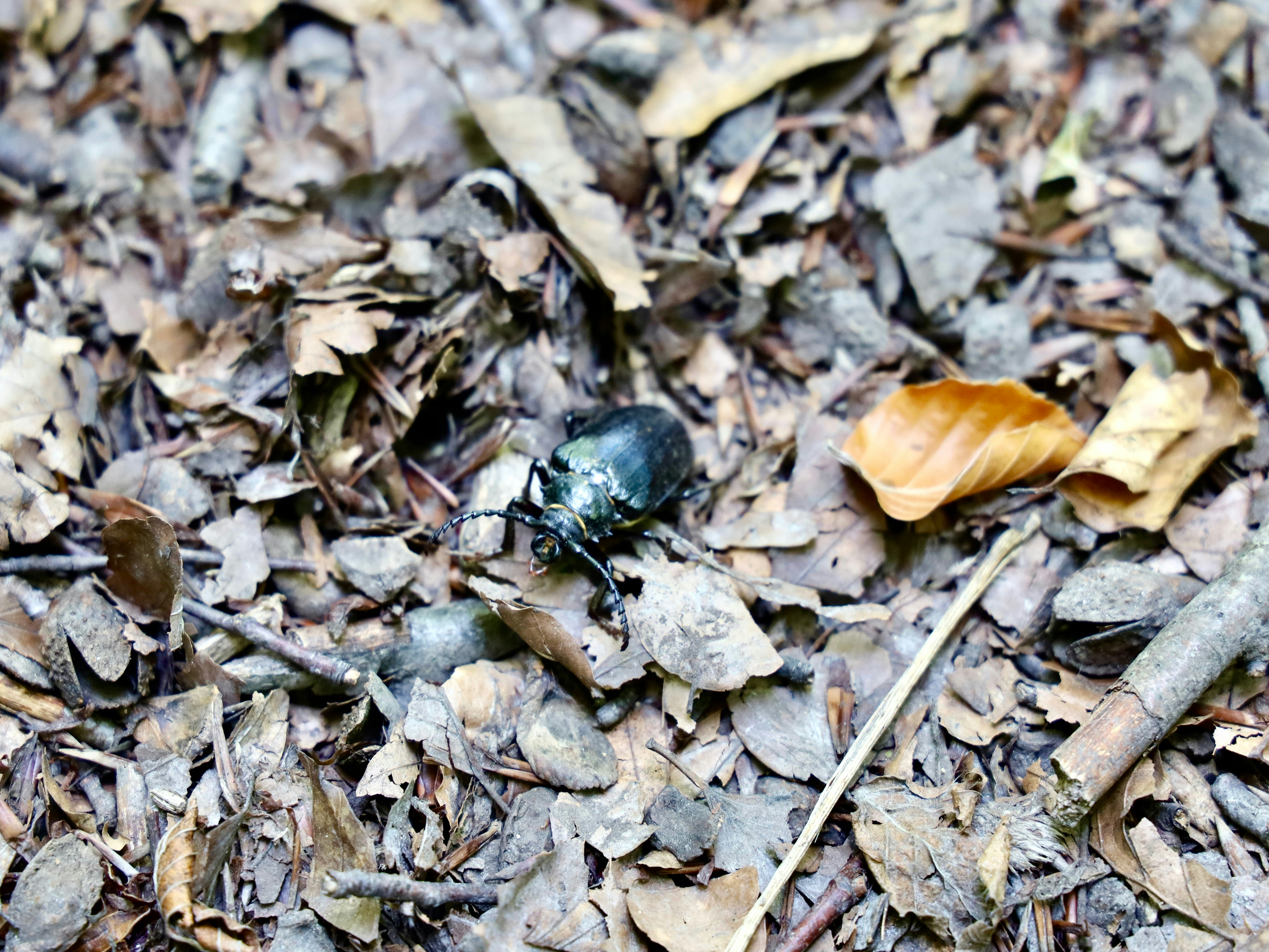 Photo by maximilian_brand