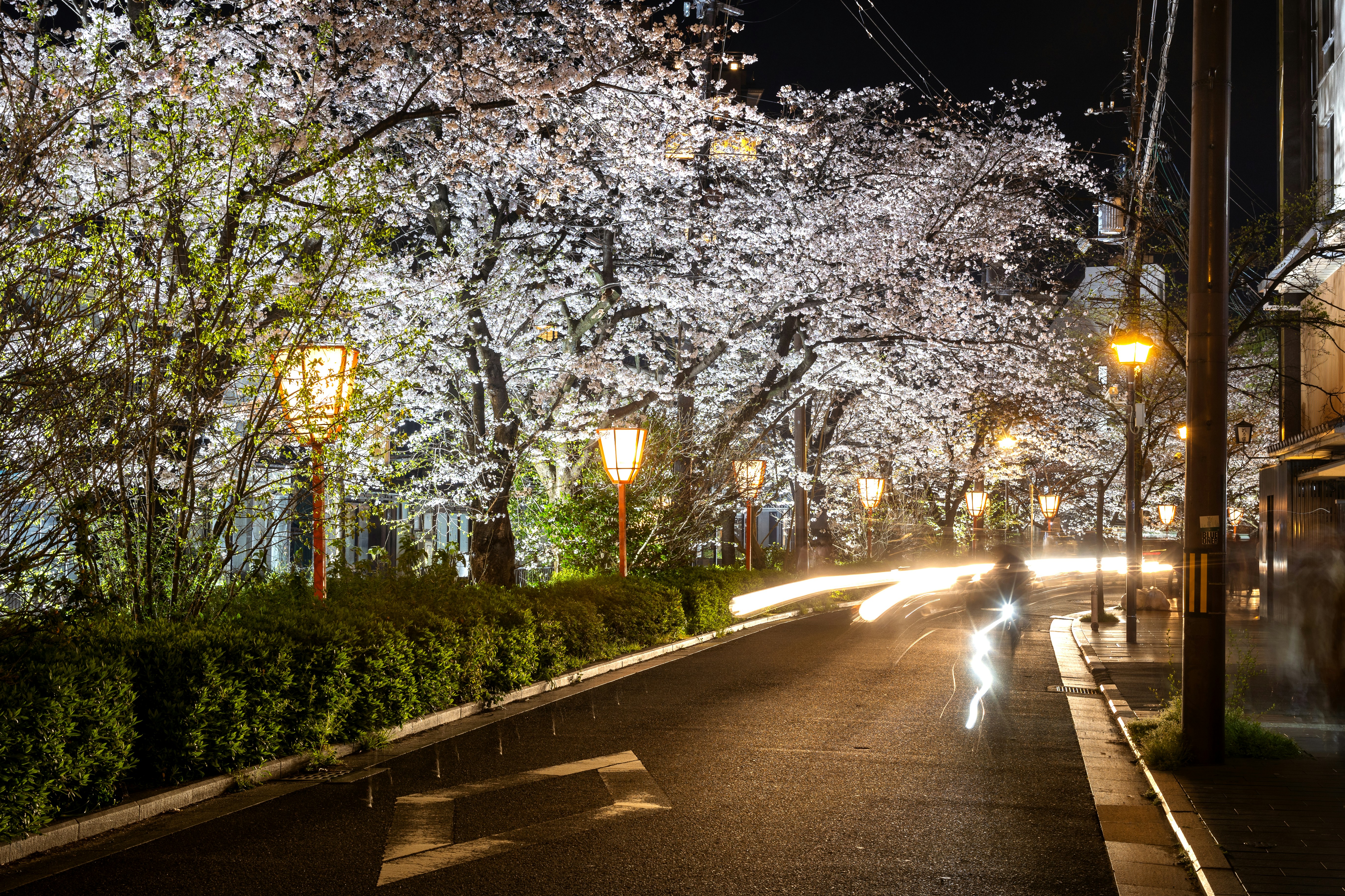 Photo by marekpiwnicki