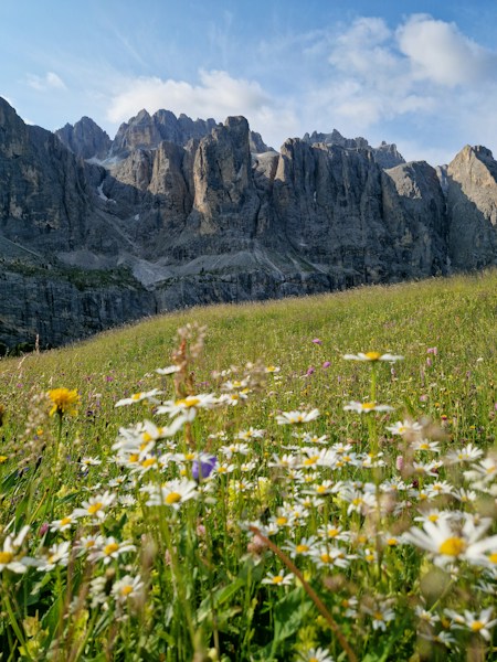 The Dolomites: Italy's Pale Mountains