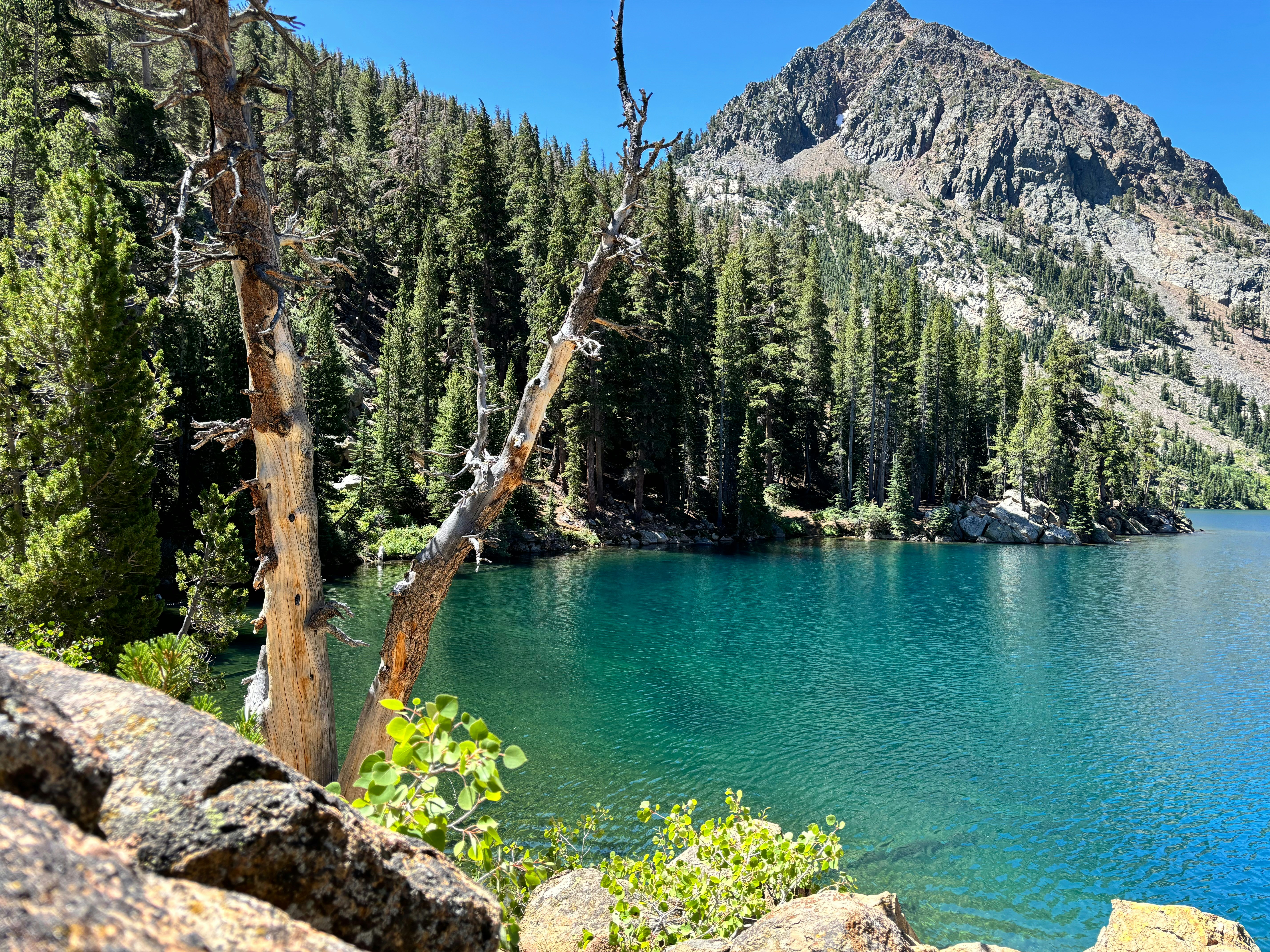 Photo by bliss4corinne