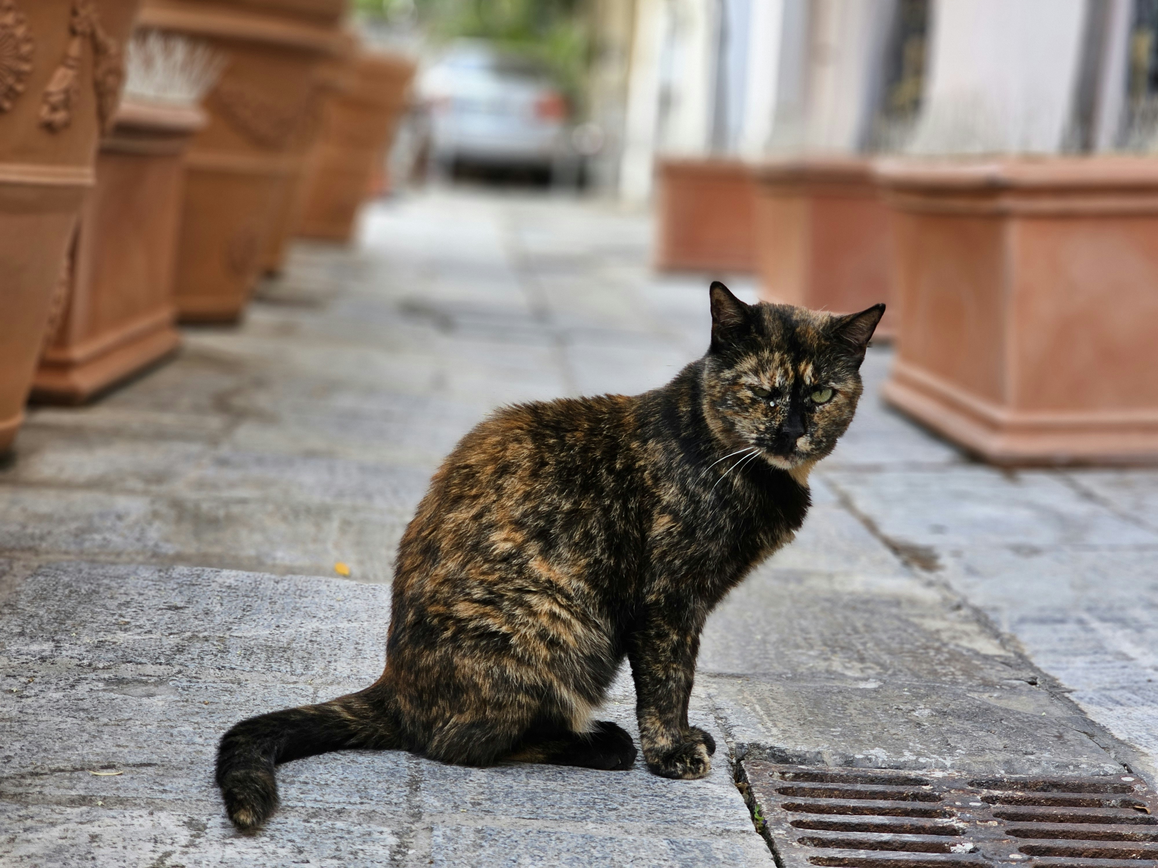 Paseo por Koukaki — Paseo Atenas como un ateniense, atenas