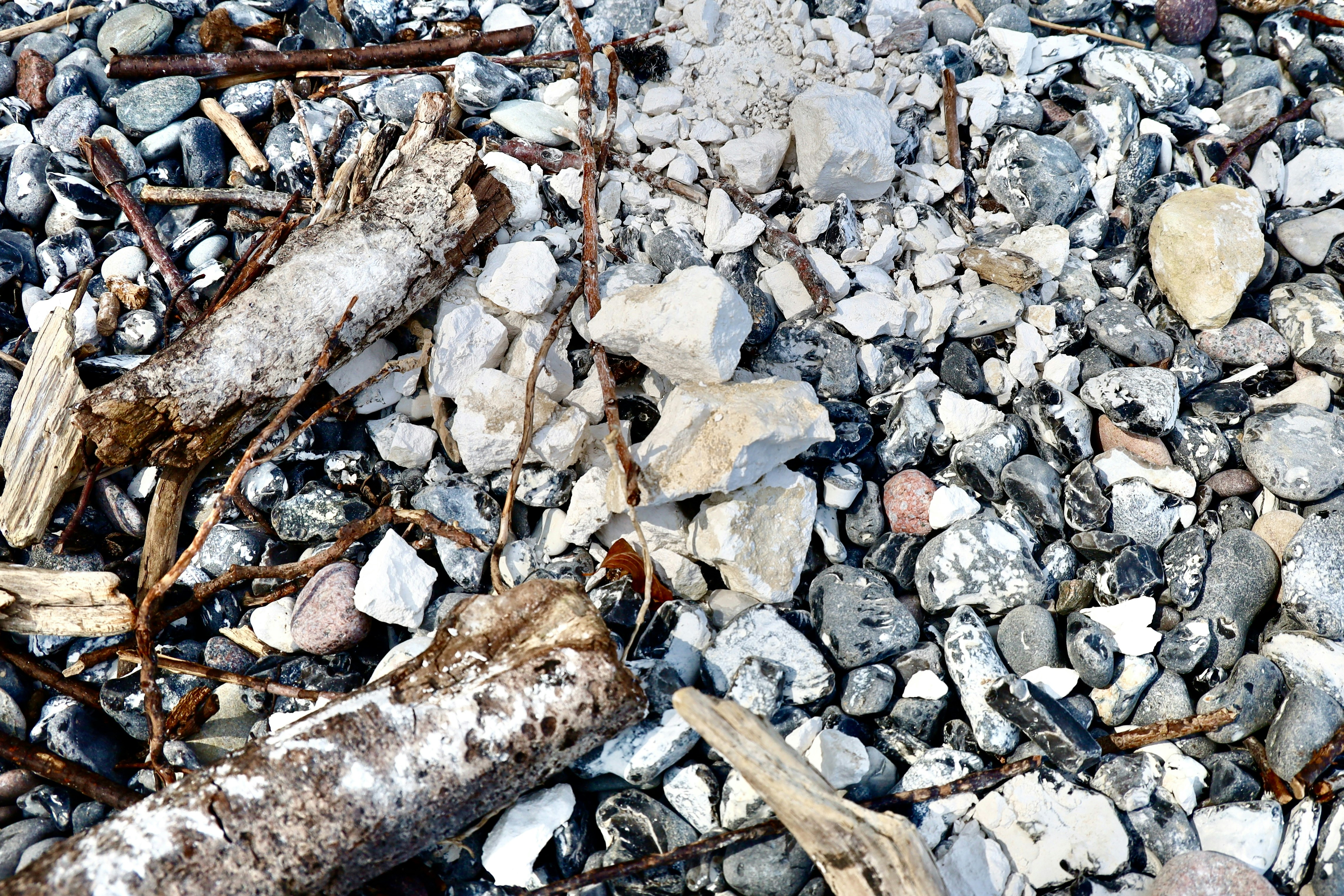 Photo by maximilian_brand