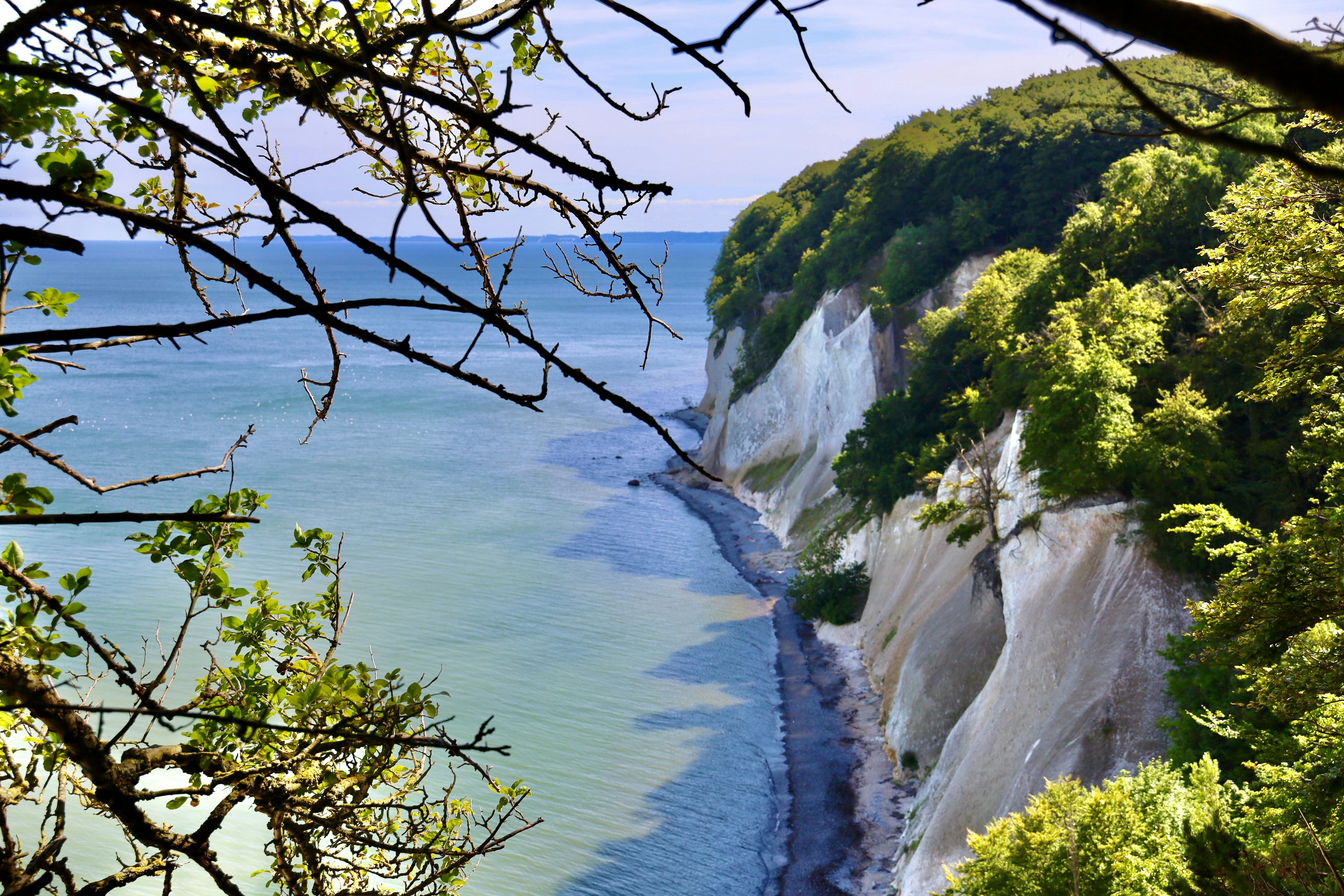 Photo by maximilian_brand