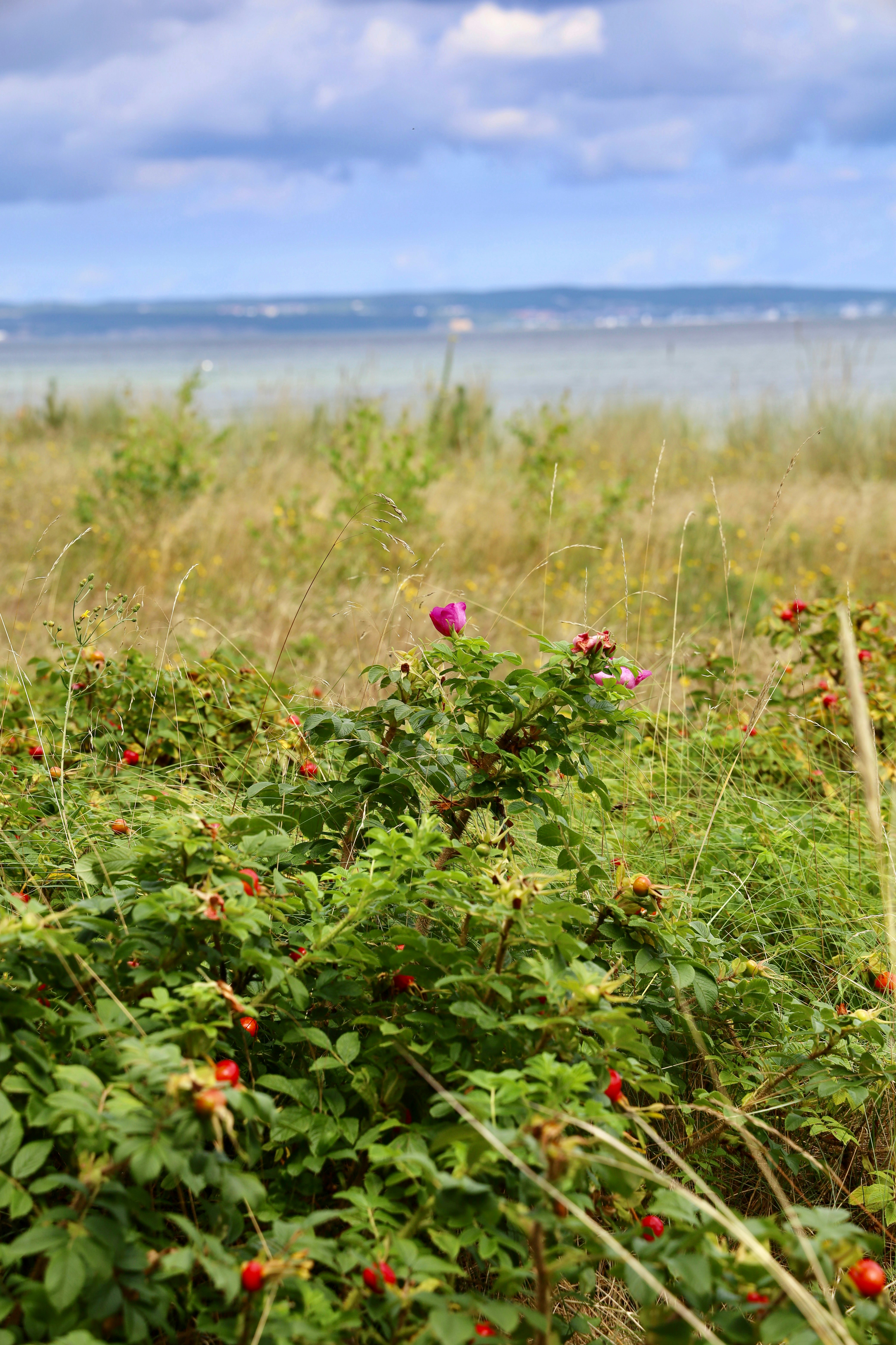 Photo by maximilian_brand