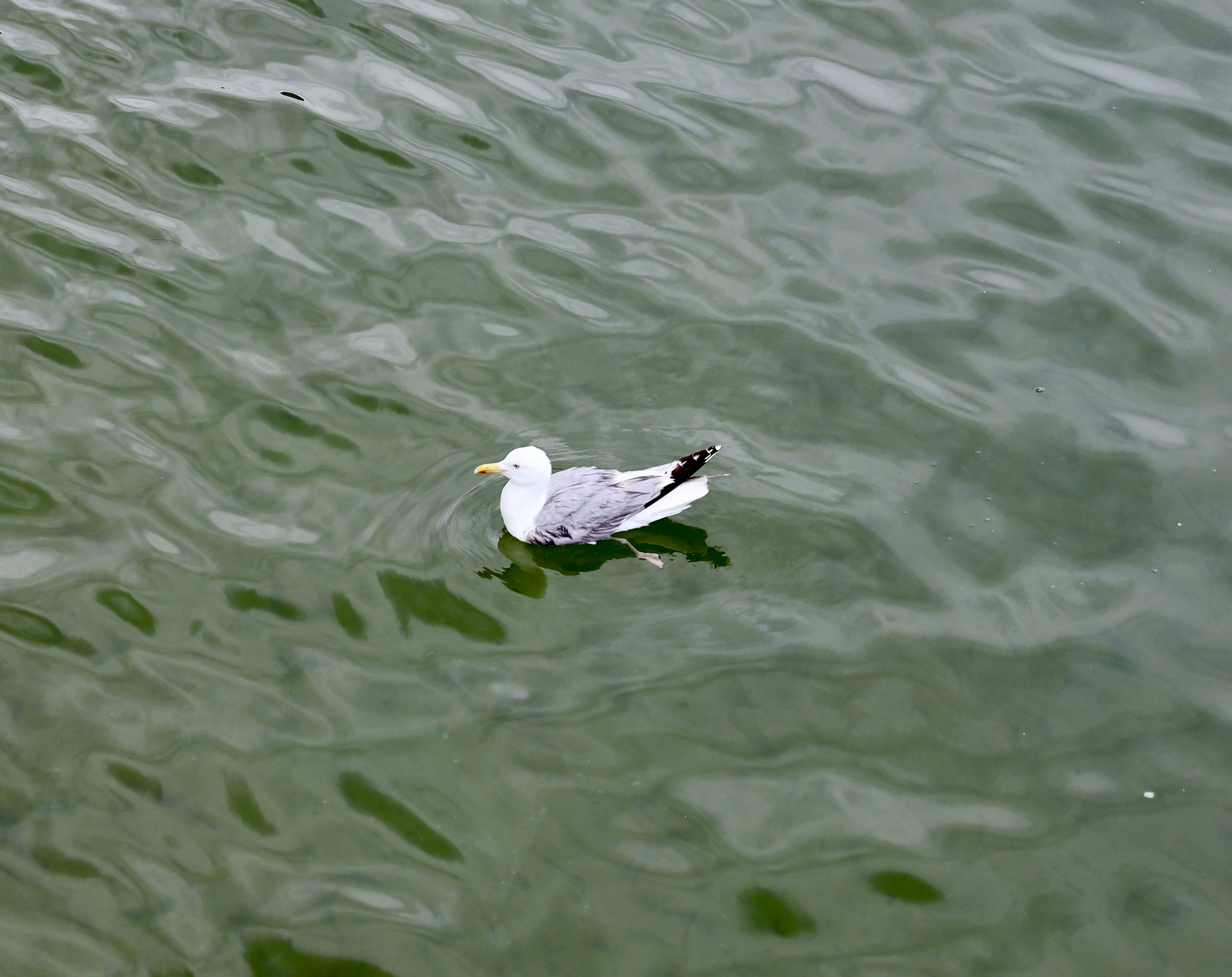 Photo by maximilian_brand