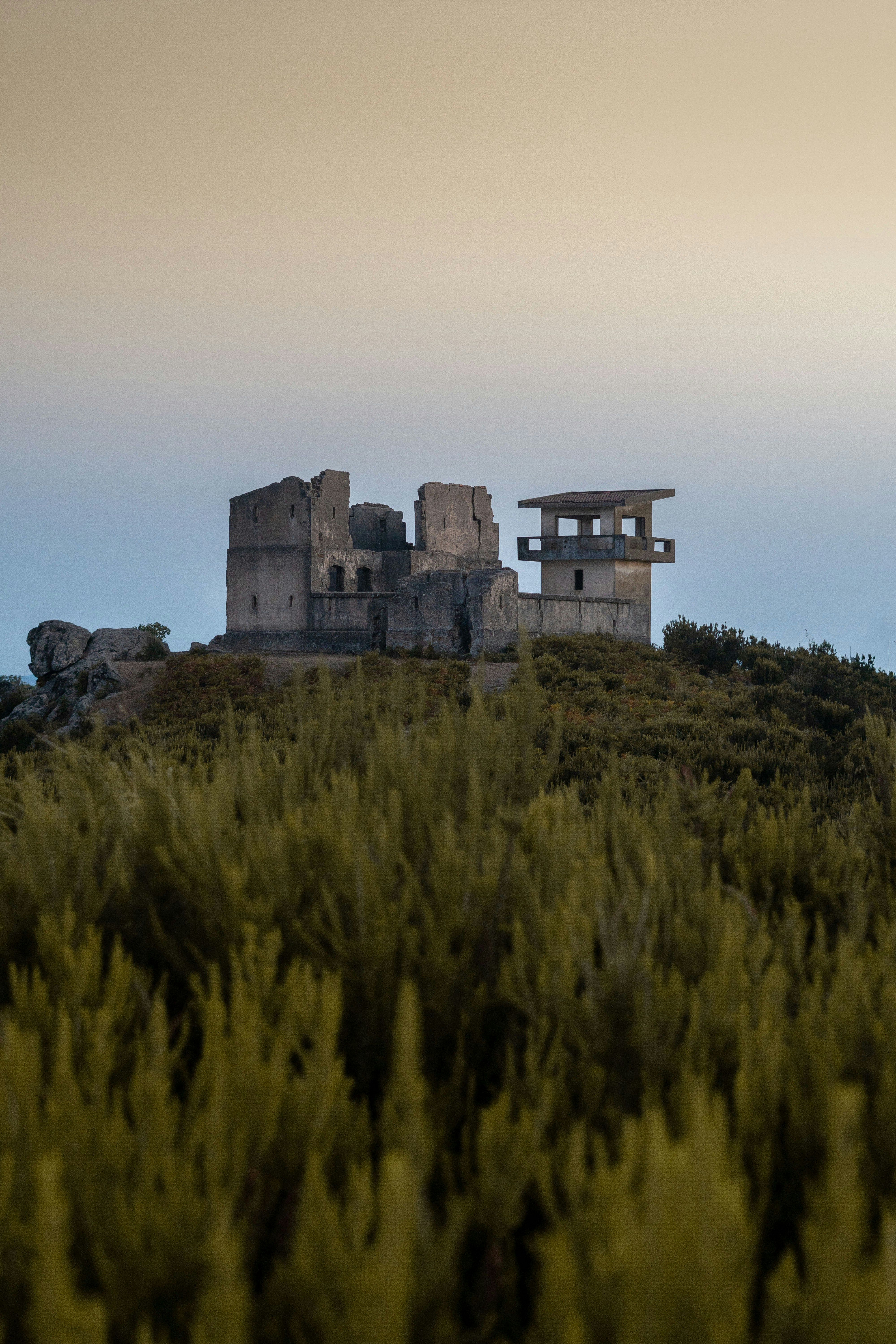 Photo by bilelzaghdoudi