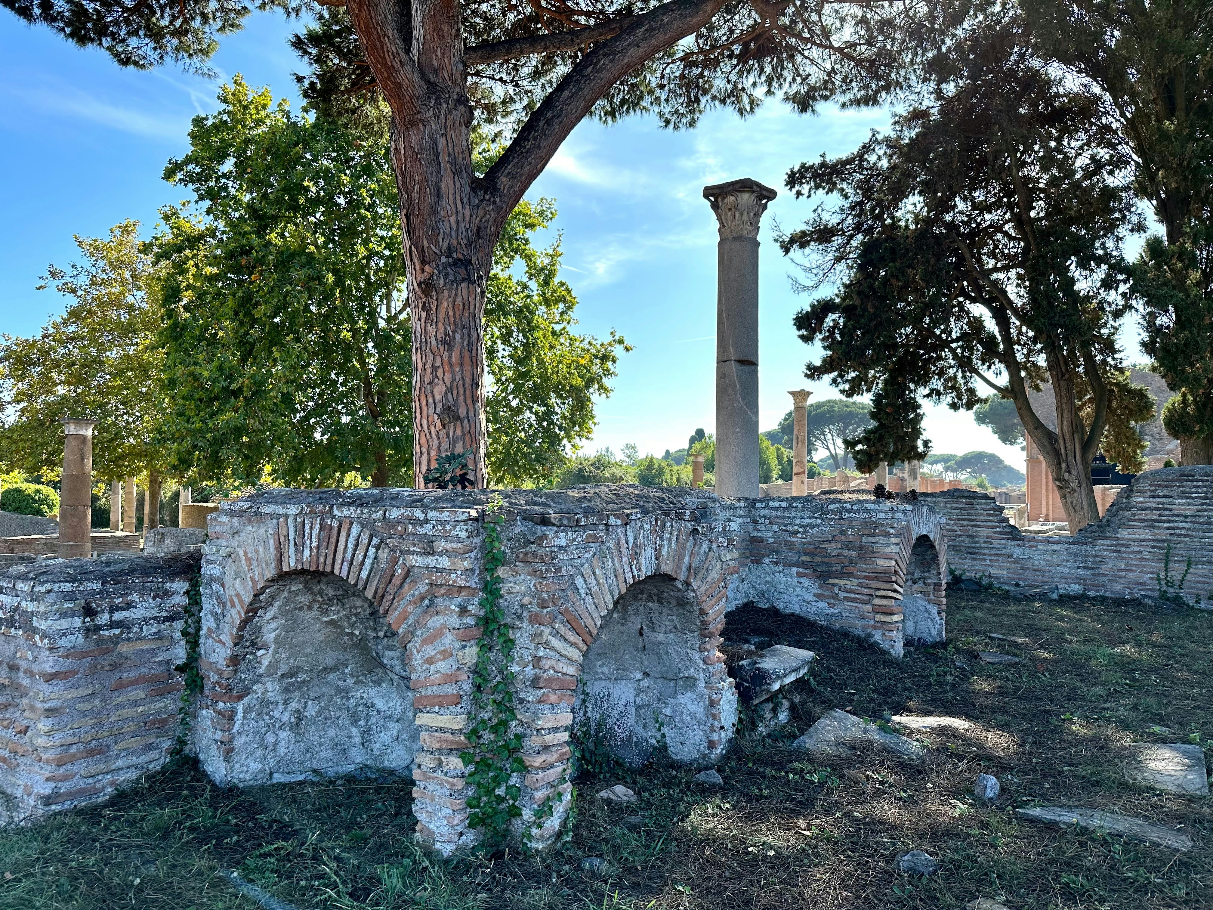A stone wall and a tree in a park