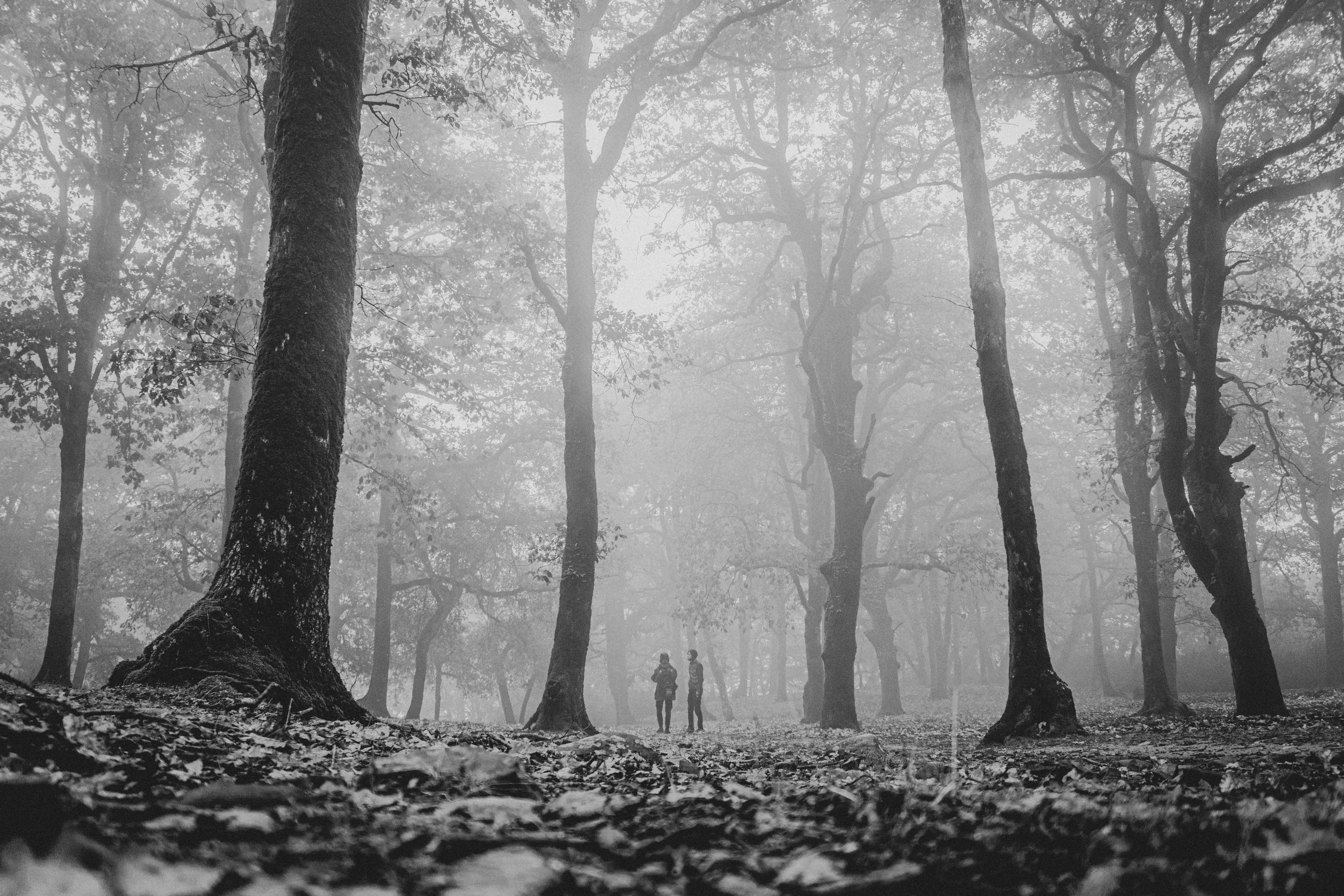 Photo by bilelzaghdoudi