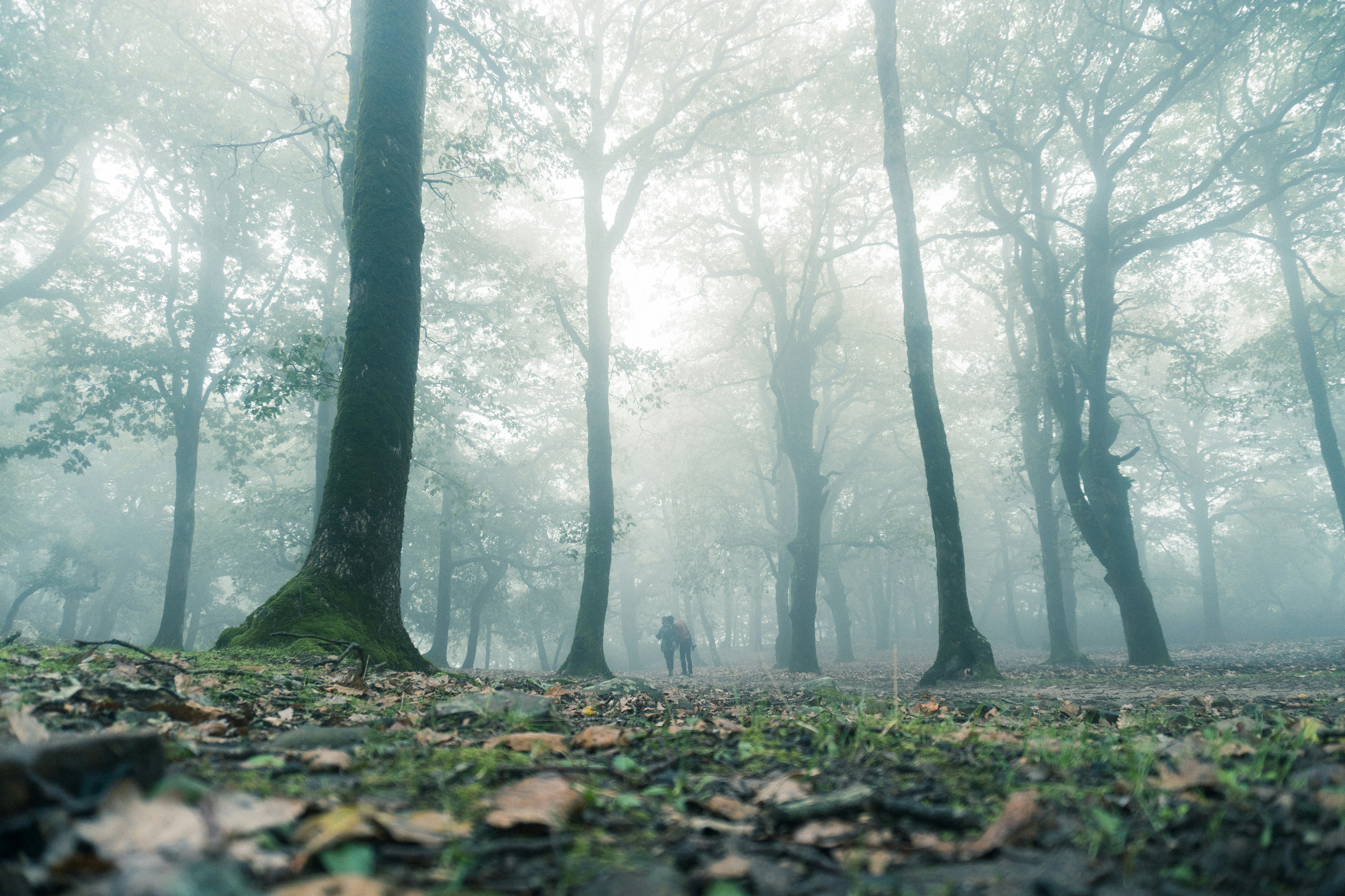 Photo by bilelzaghdoudi