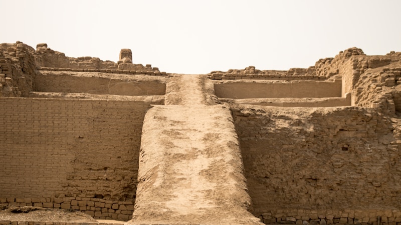 Cultural Tours.