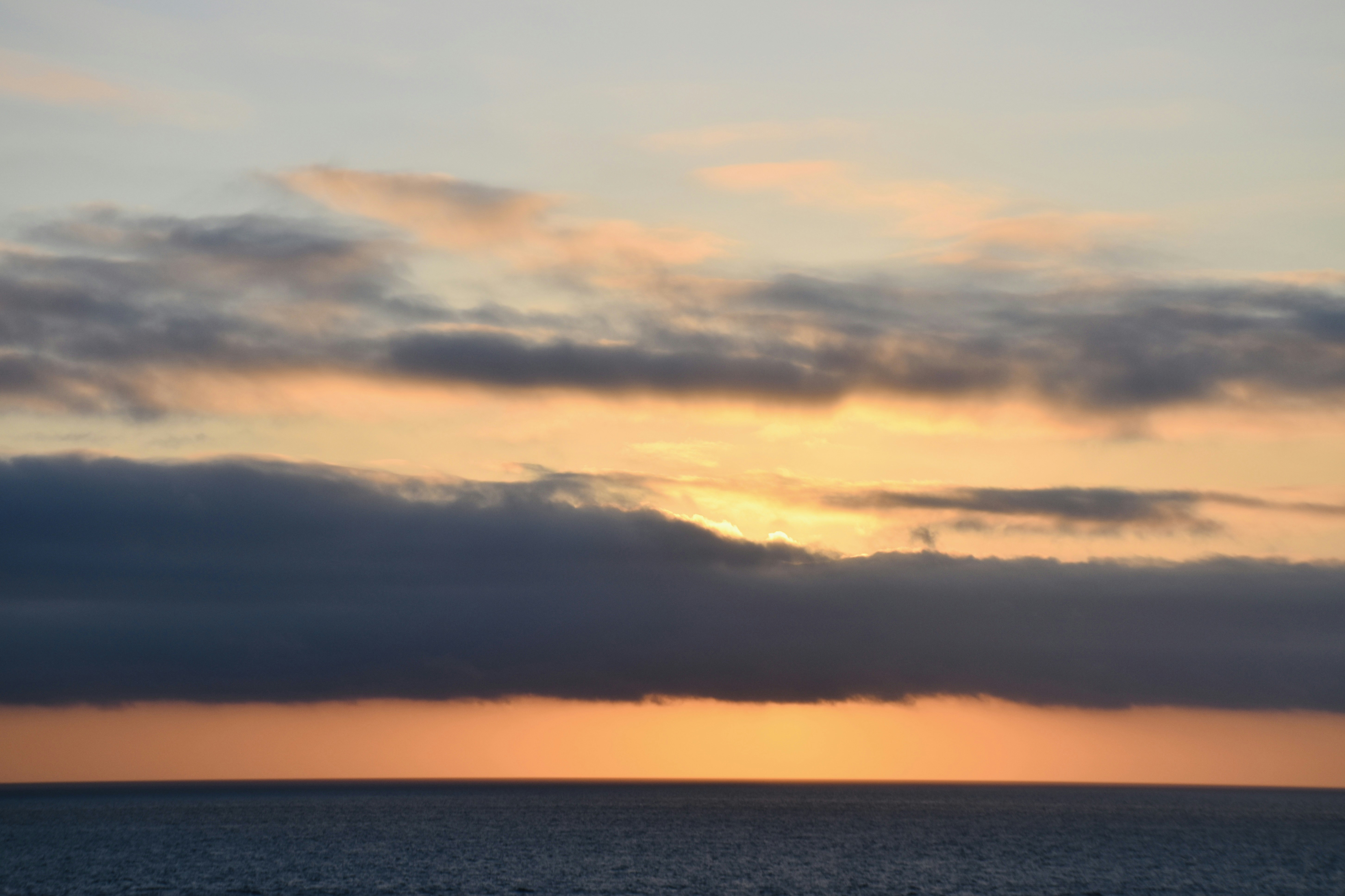 Photo by arnosenoner