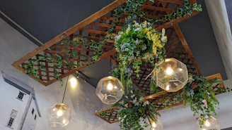 A room with a bunch of plants hanging from the ceiling