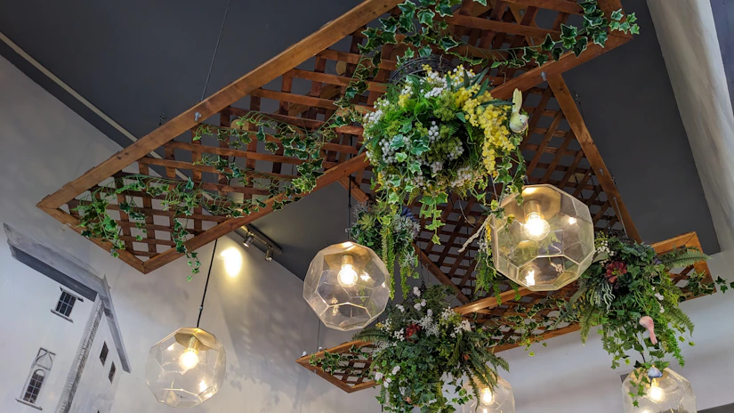 A room with a bunch of plants hanging from the ceiling