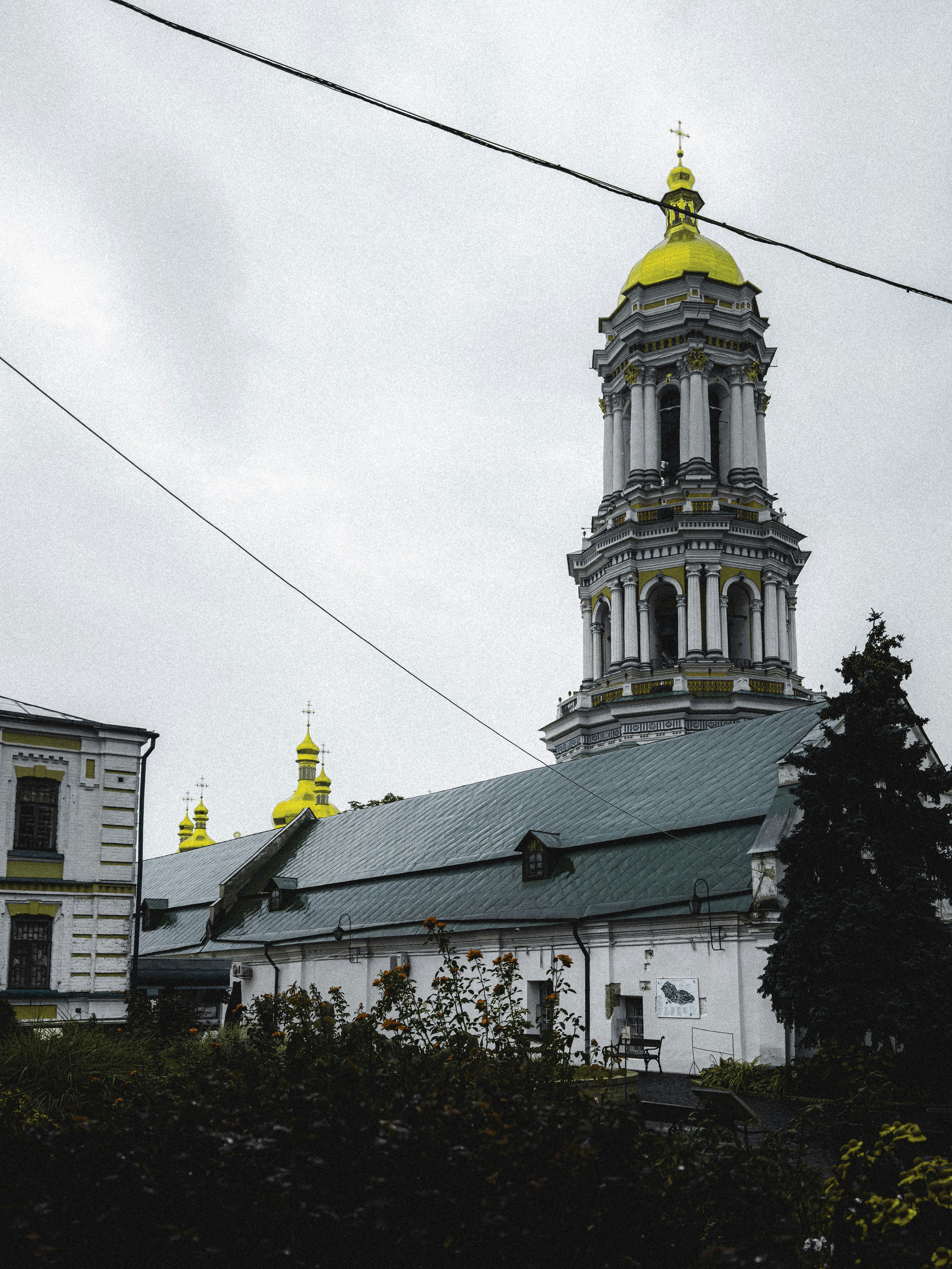 Photo by allenboguslavsky