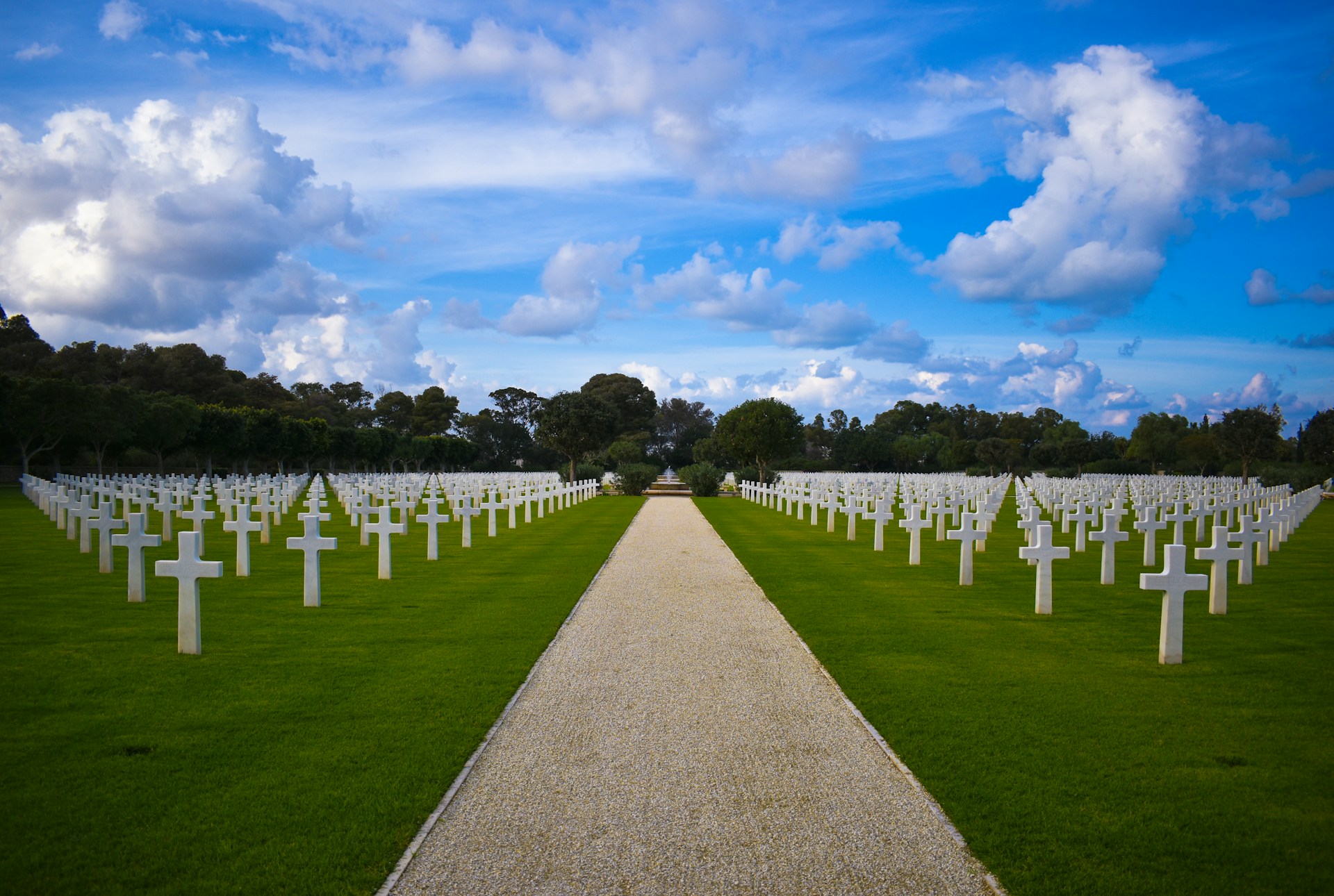 A long path lined with crosses in a cemetery