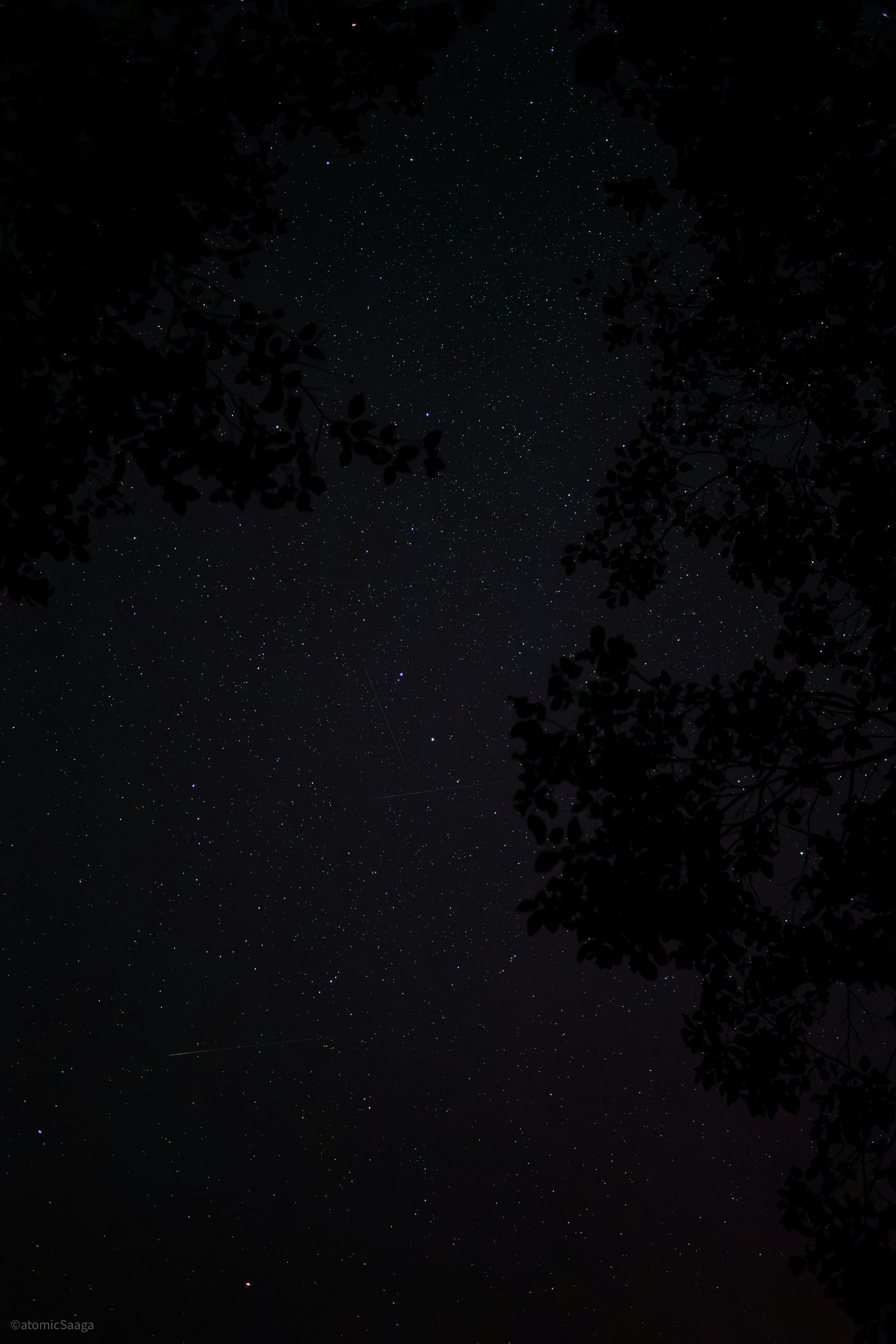 Photo by atomic_saaga