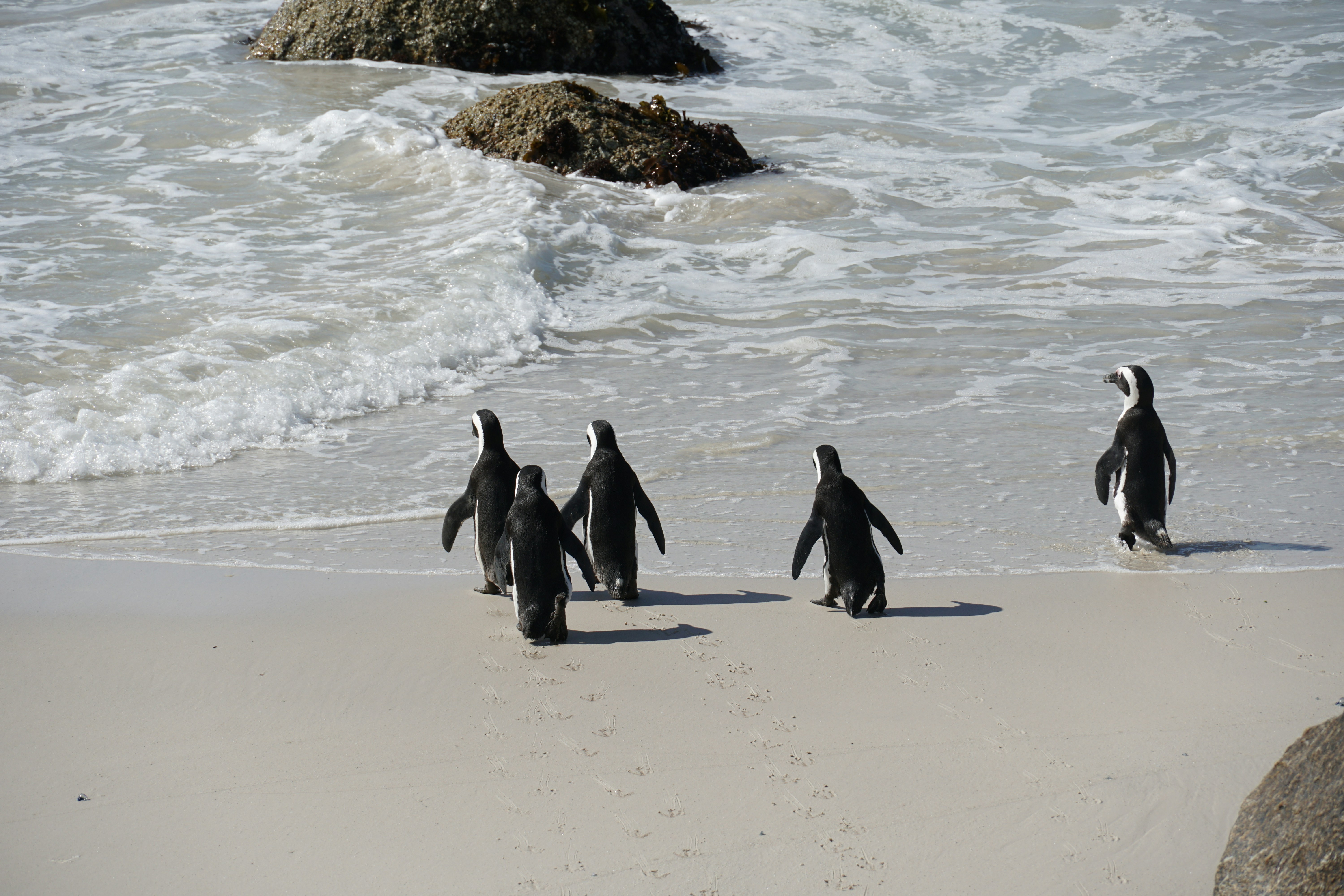 Photo by qld_traveller