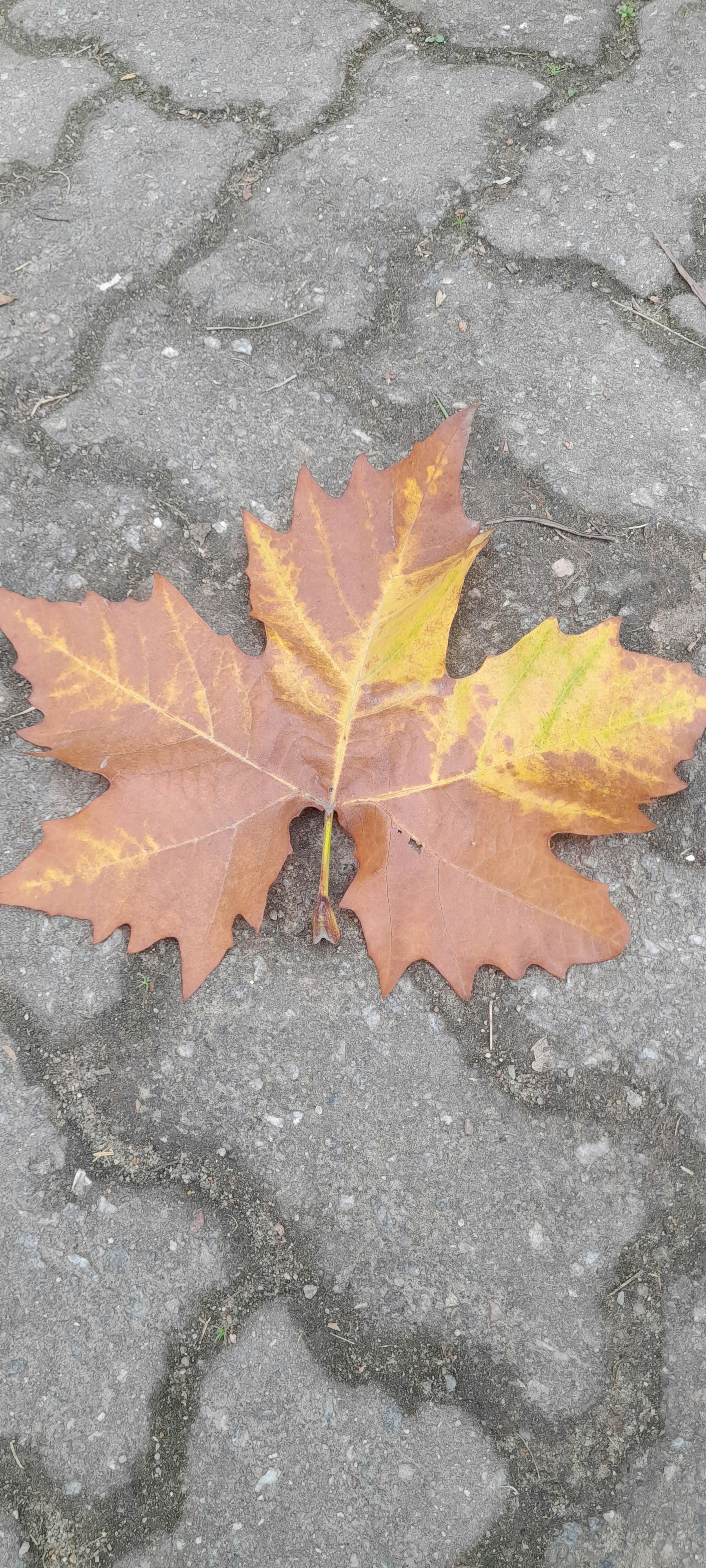 Photo by marsiescritora